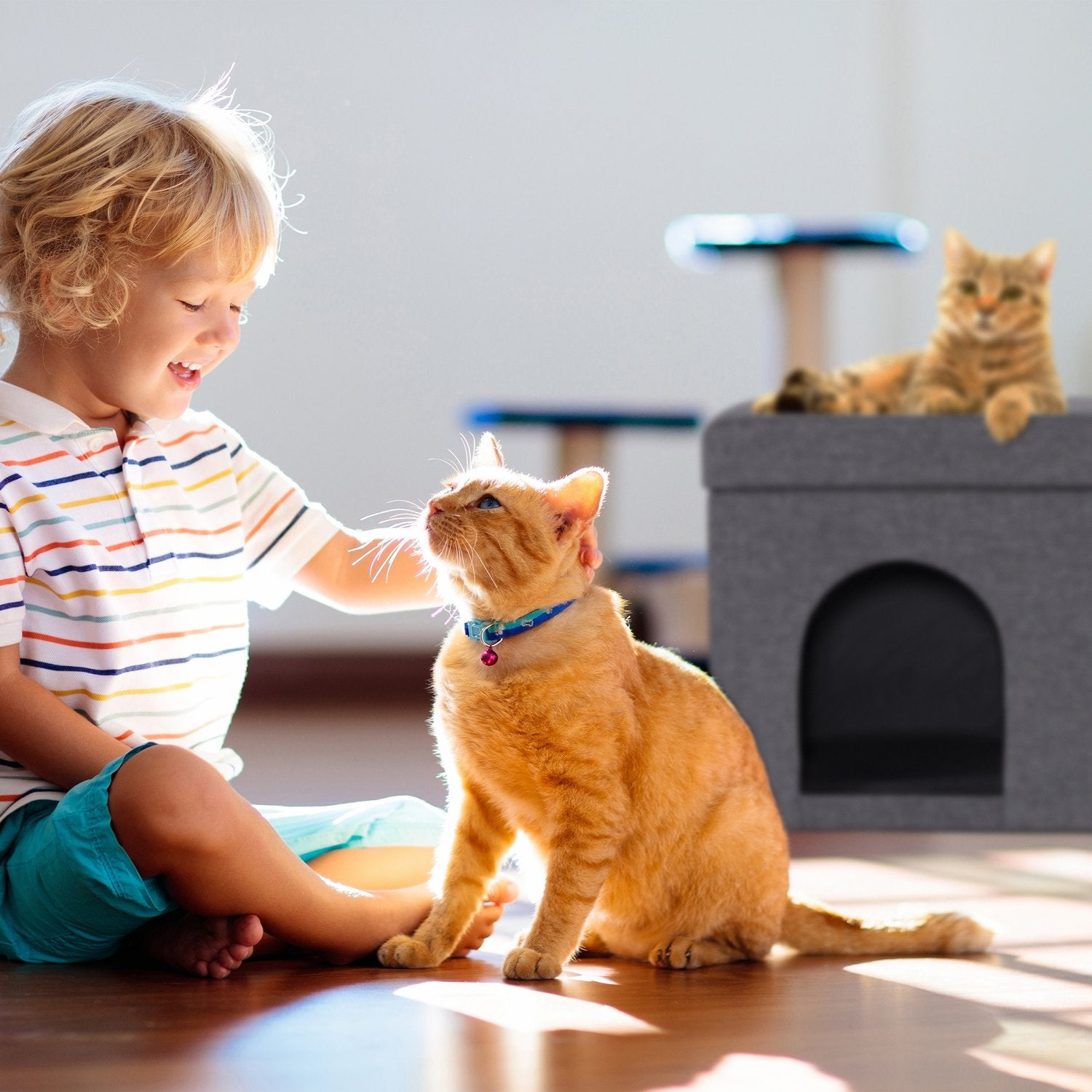 Un niño juega con un gato naranja. Un segundo gato descansa en un árbol para gatos.