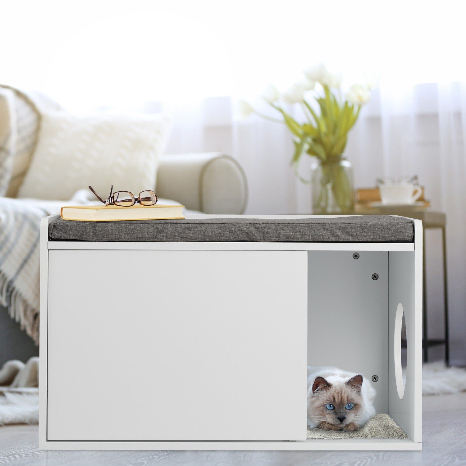 Un gato yace en una casa para gatos blanca, con un libro y gafas encima.