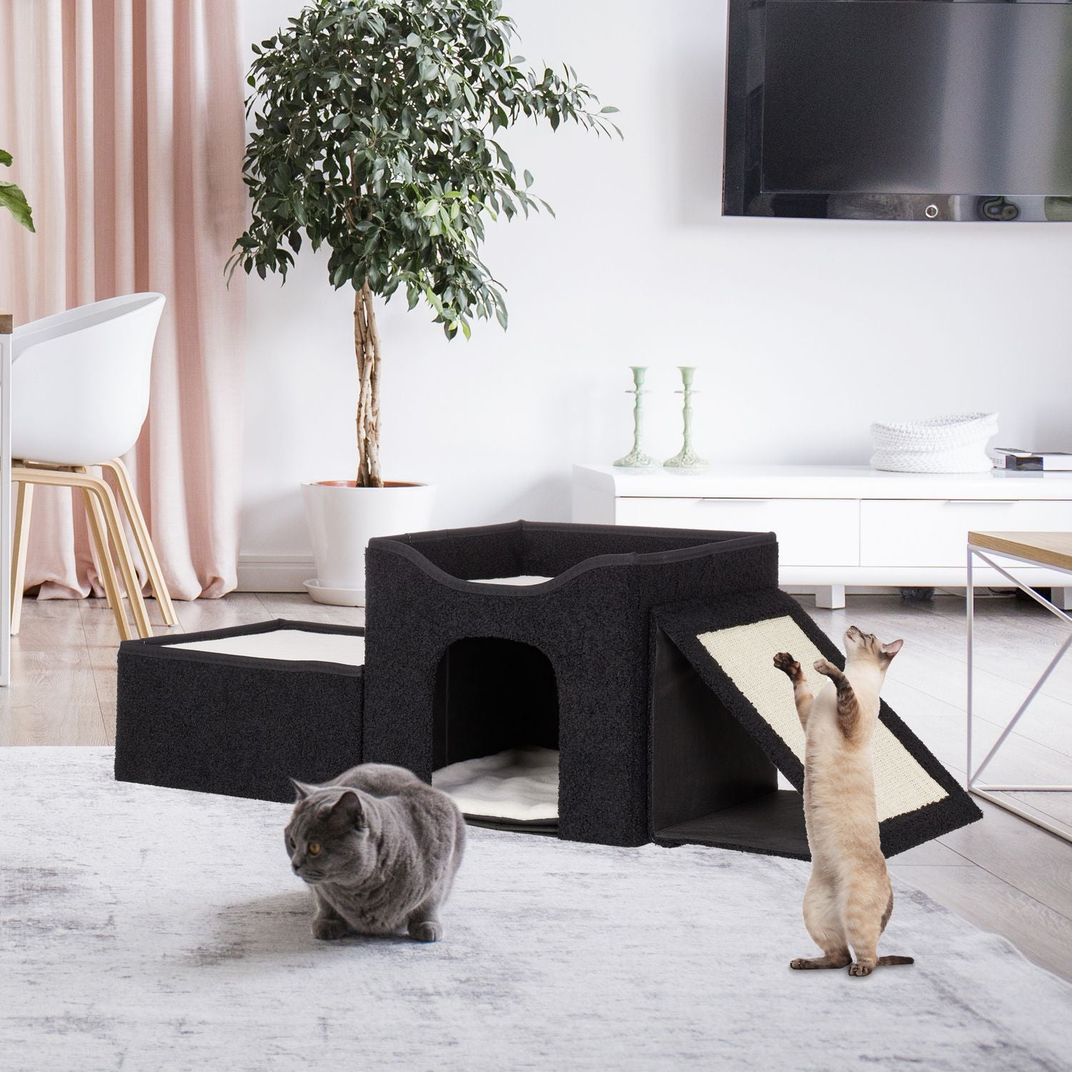 Dos gatos juegan sobre una alfombra frente a un rascador negro en una sala.