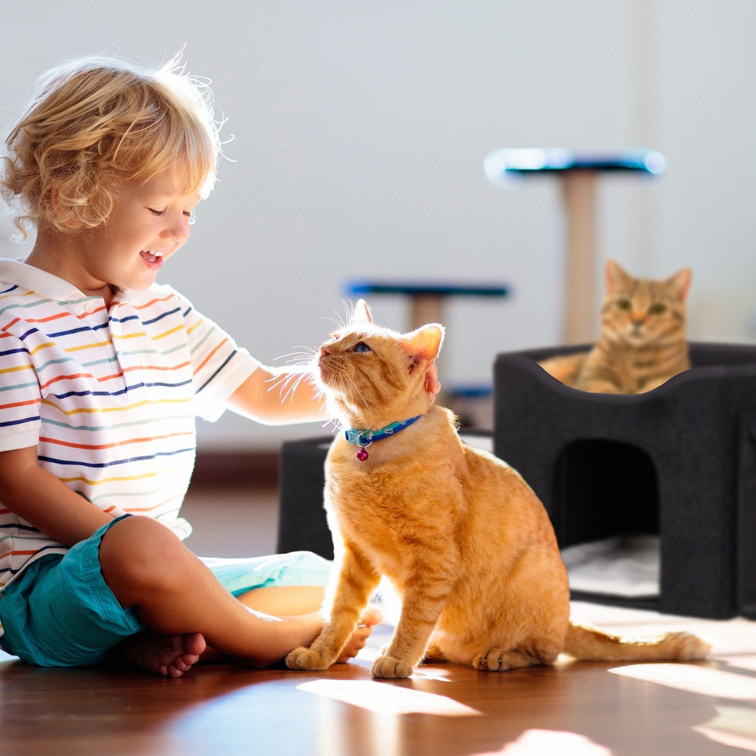Un niño juega con un gato. Otro gato se sienta en una cama negra.