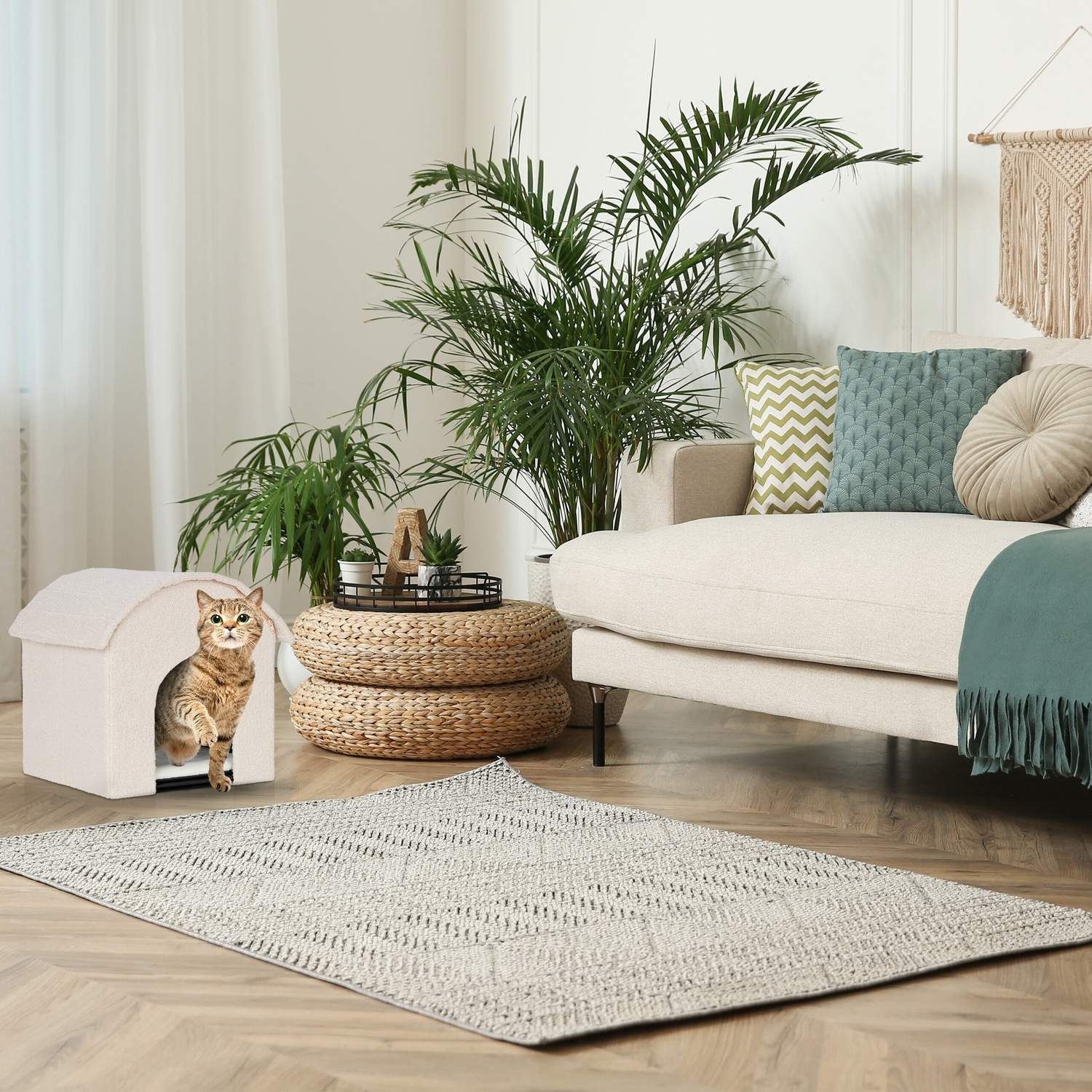 Un gato sale de una casa para gatos color crema sobre una alfombra.