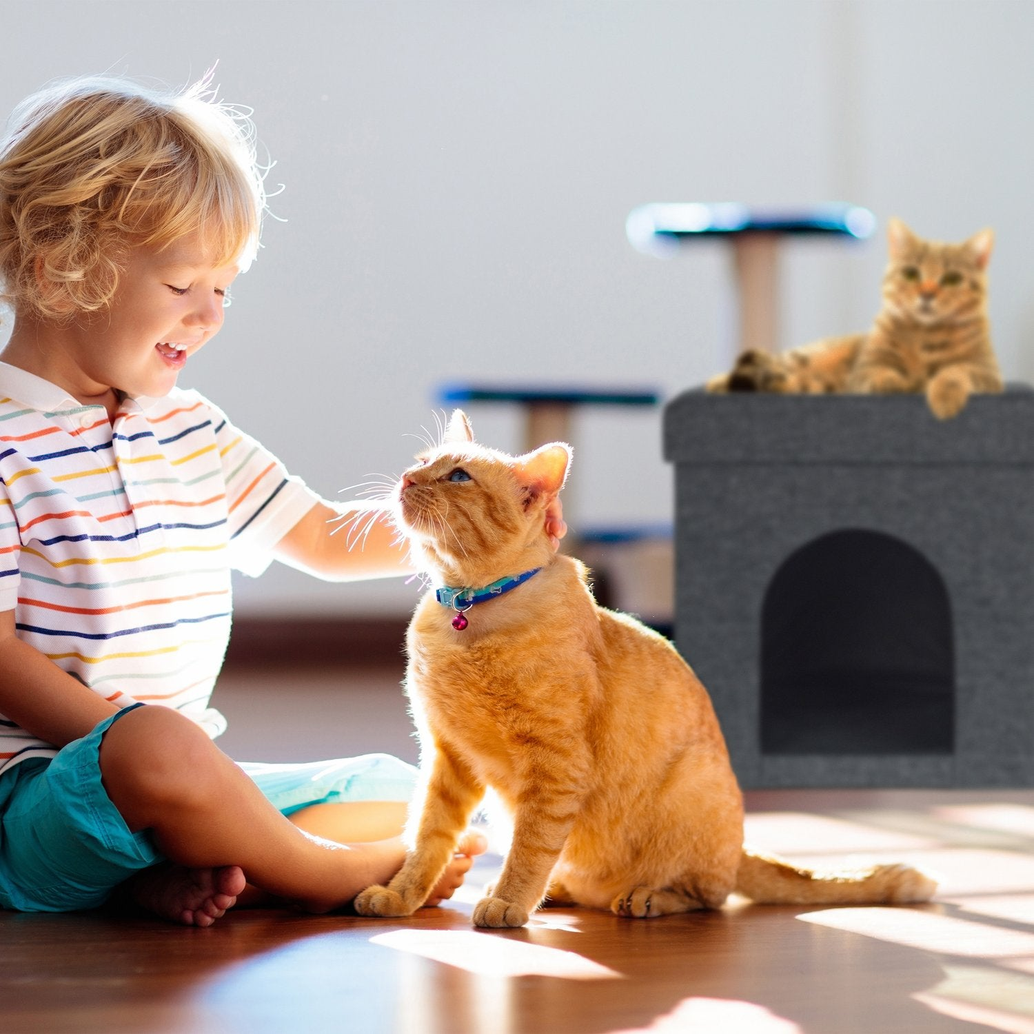 Un niño sonríe mientras acaricia a un gato naranja. Otro gato descansa en un árbol para gatos.