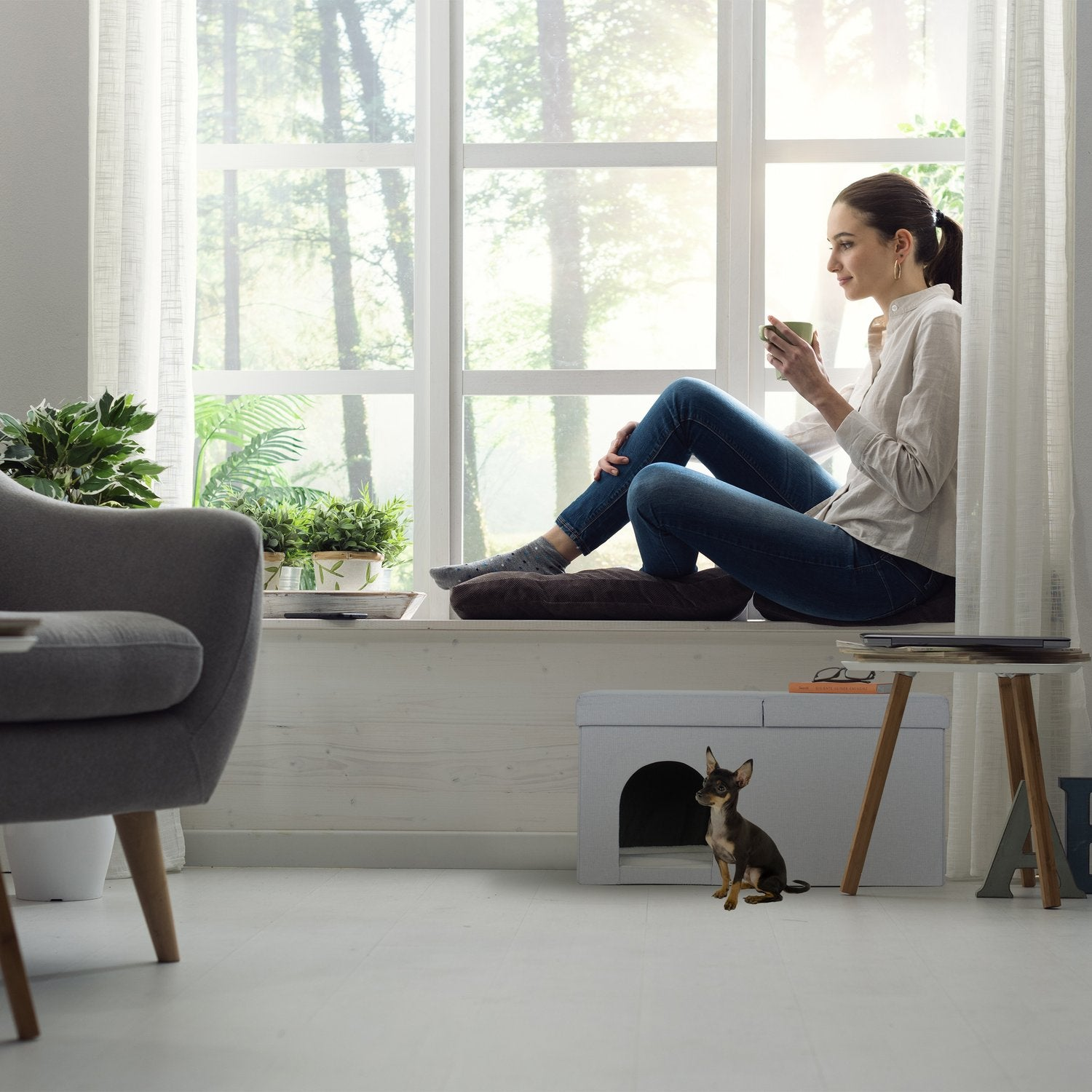 Mujer bebe té junto a ventana, perro al lado de cama para mascotas. Árboles fuera.