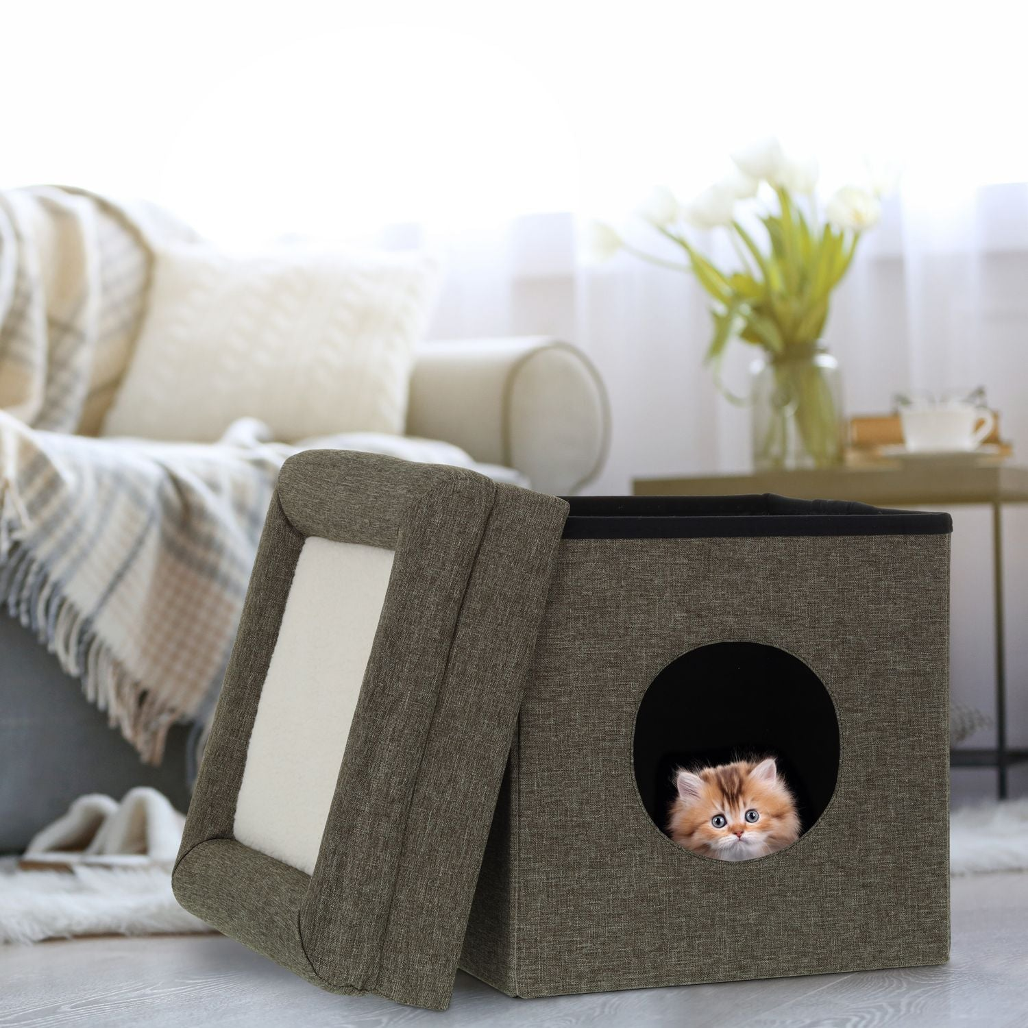 Un gatito esponjoso con ojos azules mira desde una caja cúbica.