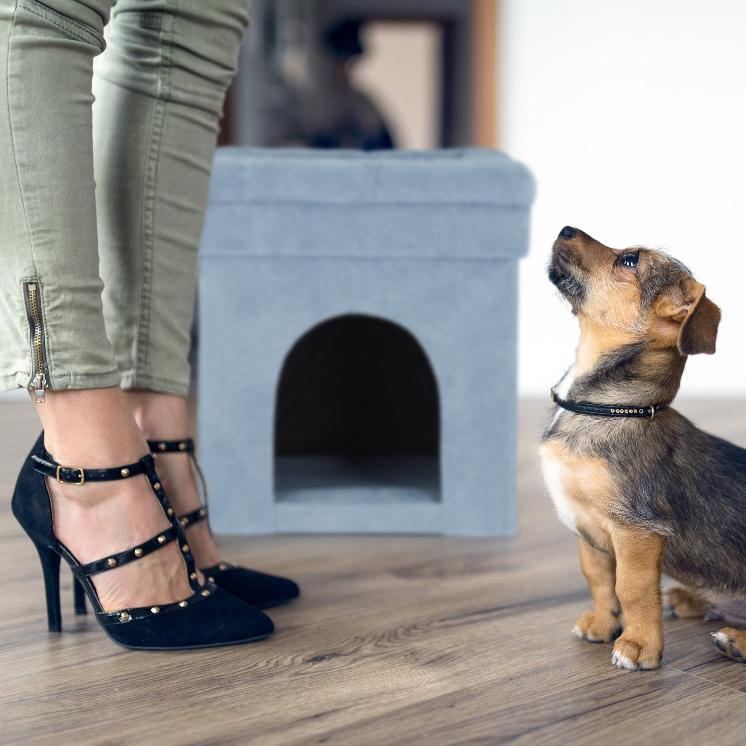 Un perro pequeño se sienta en un suelo de madera, mirando a una persona con tacones.