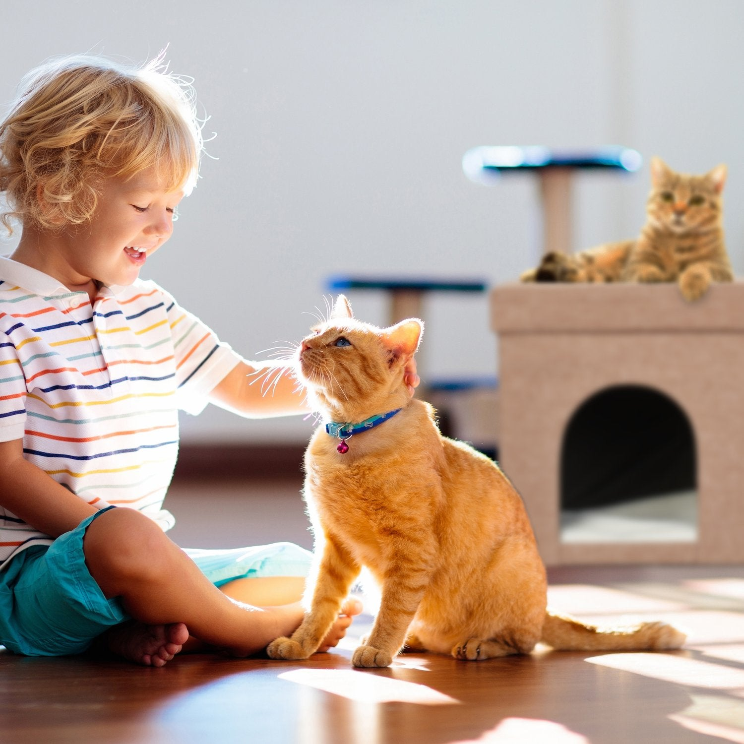 Un niño rubio con camiseta a rayas juega con un gato naranja. Otro gato descansa.