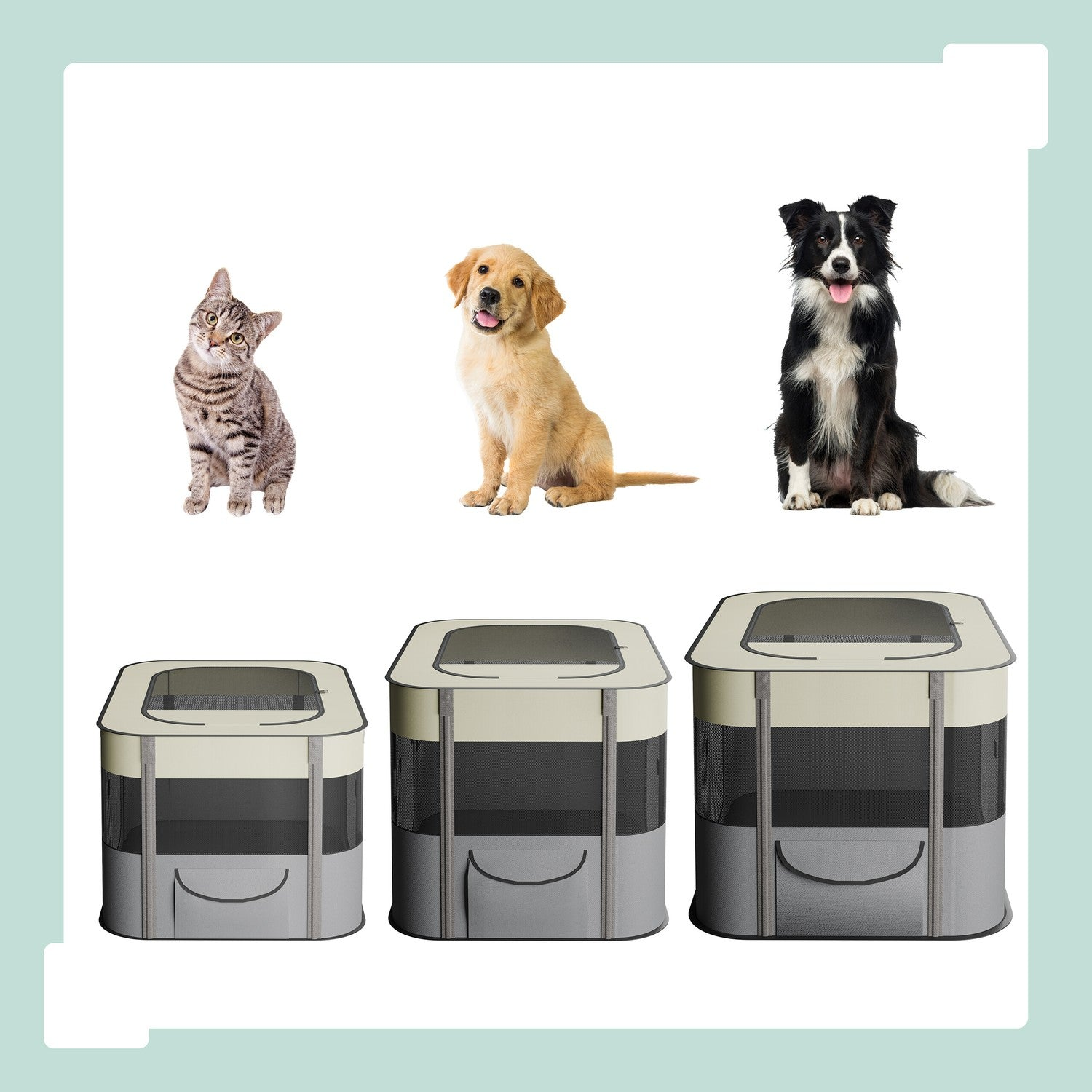 Gato, cachorro y border collie sentados frente a tres transportines plegables.
