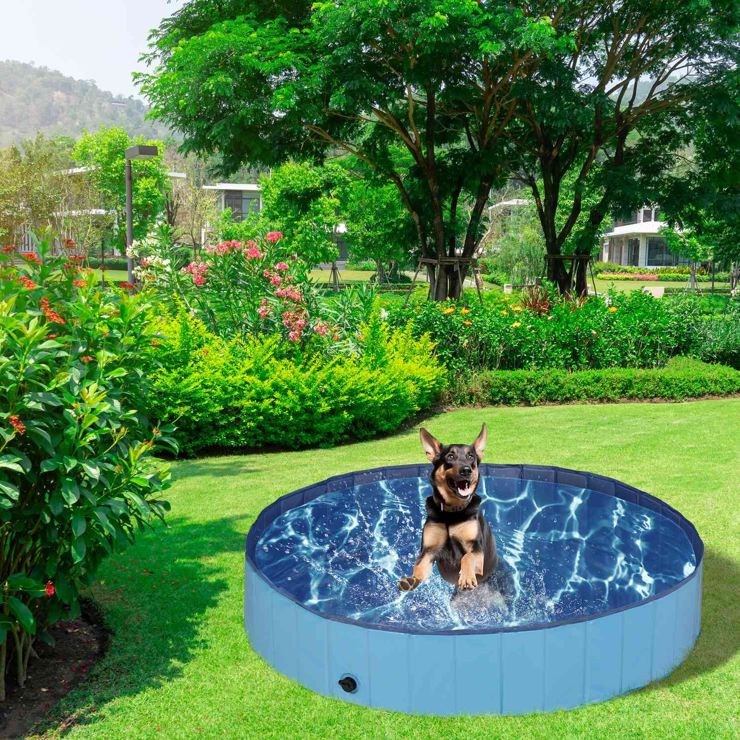 Un perro salta alegremente en una piscina inflable en el jardín.