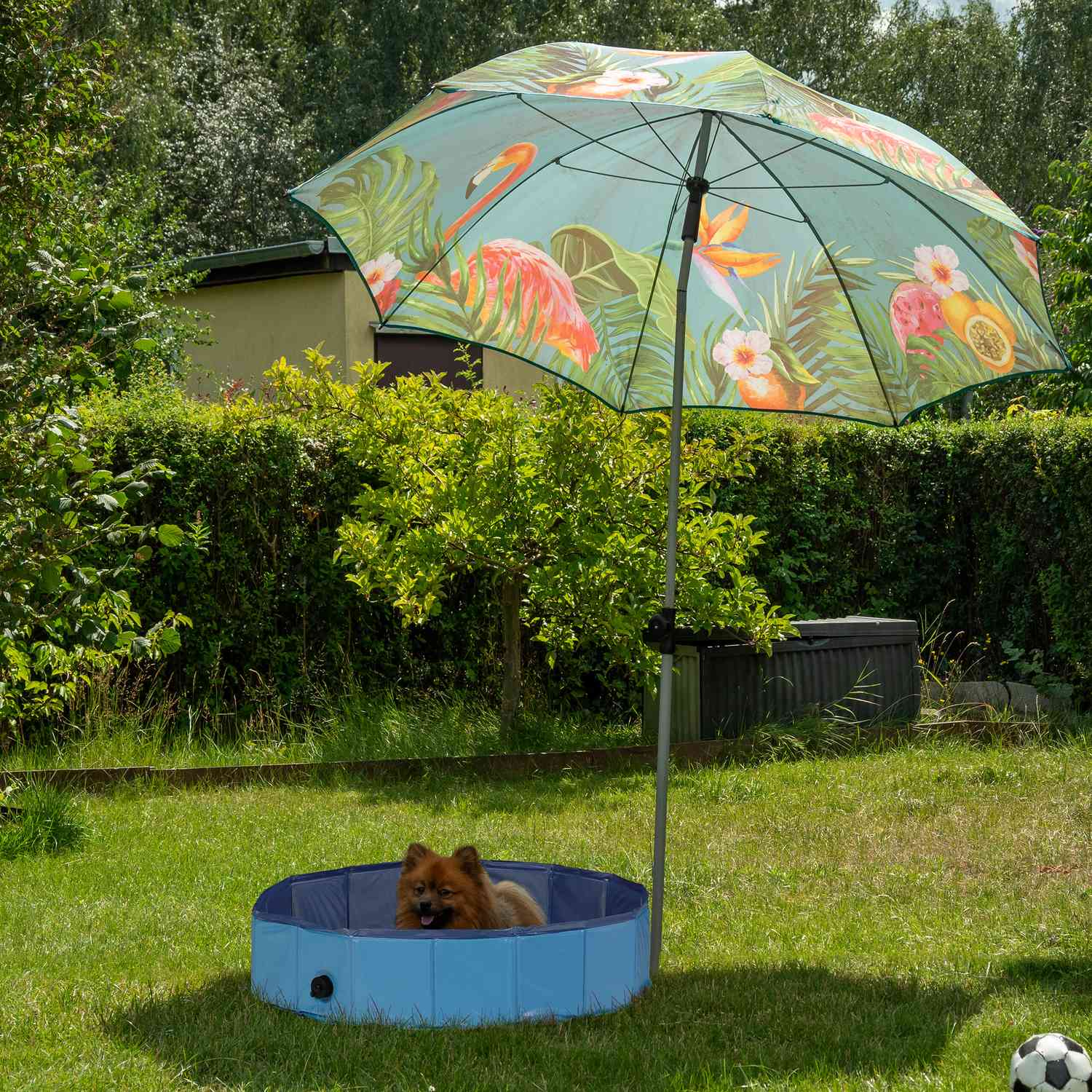 Un perro se sienta en una piscina azul bajo una sombrilla tropical en un jardín.
