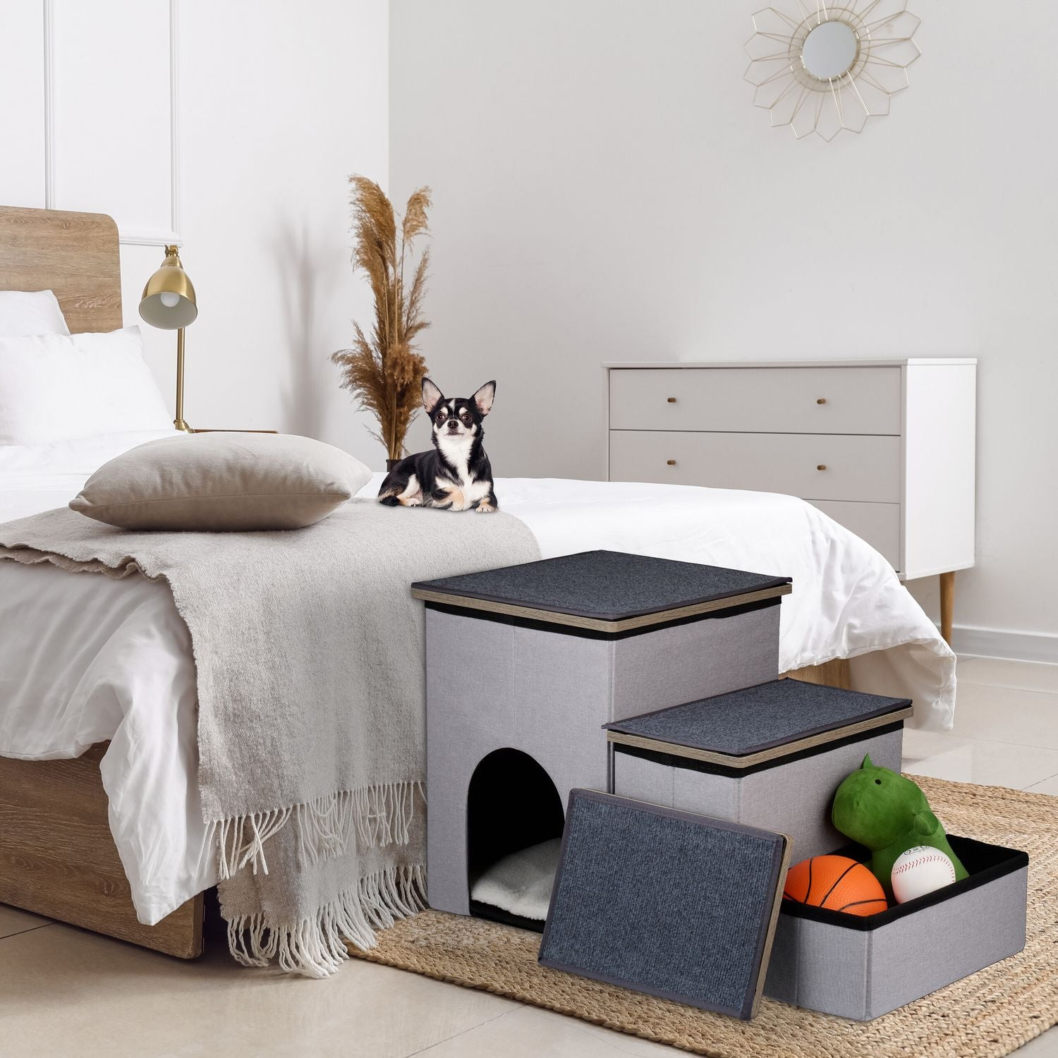 Un chihuahua se sienta en una cama junto a una cama para perros y juguetes.