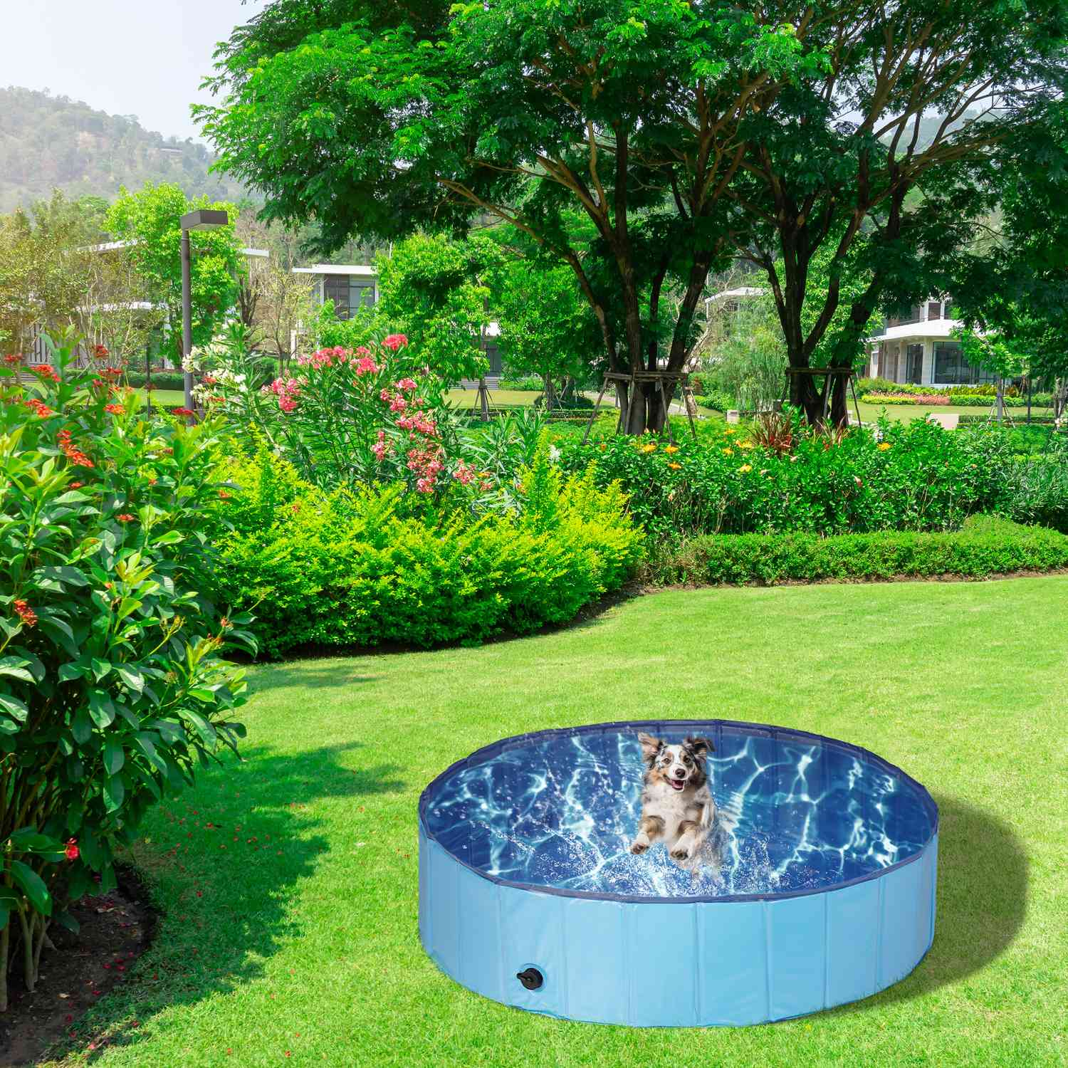 Un perro salta a una piscina infantil azul en un jardín.