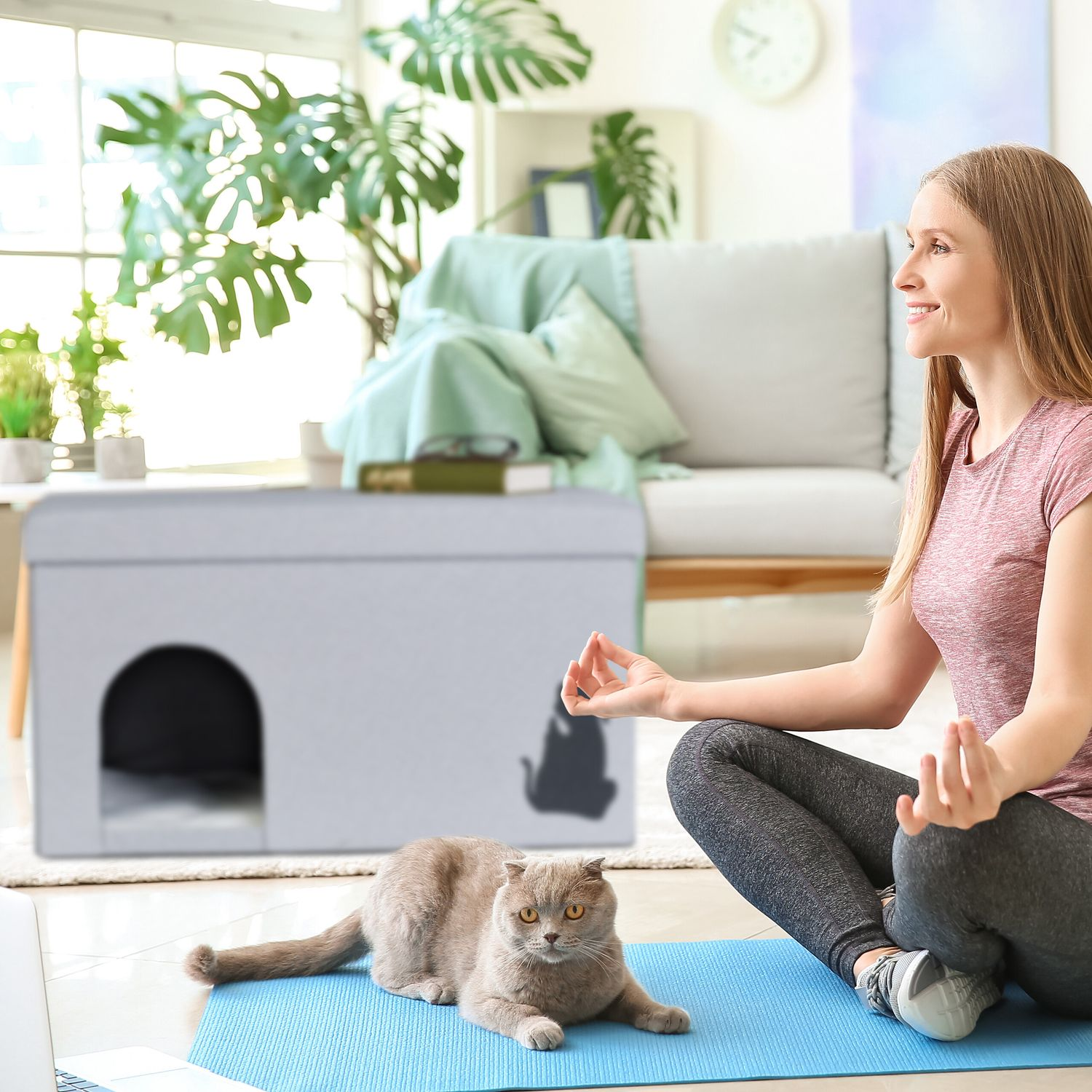 Mujer meditando junto a un gato y una casa para gatos.
