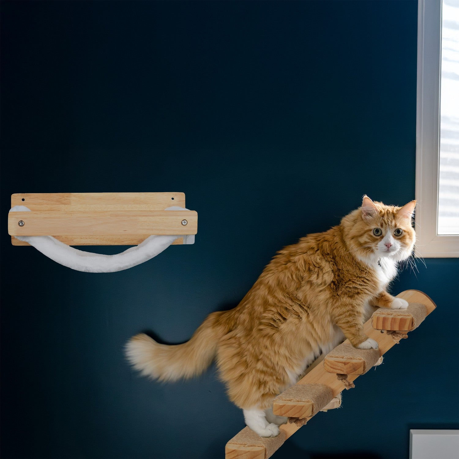 Un gato naranja sube una escalera de madera en una pared azul oscuro, junto a una ventana.