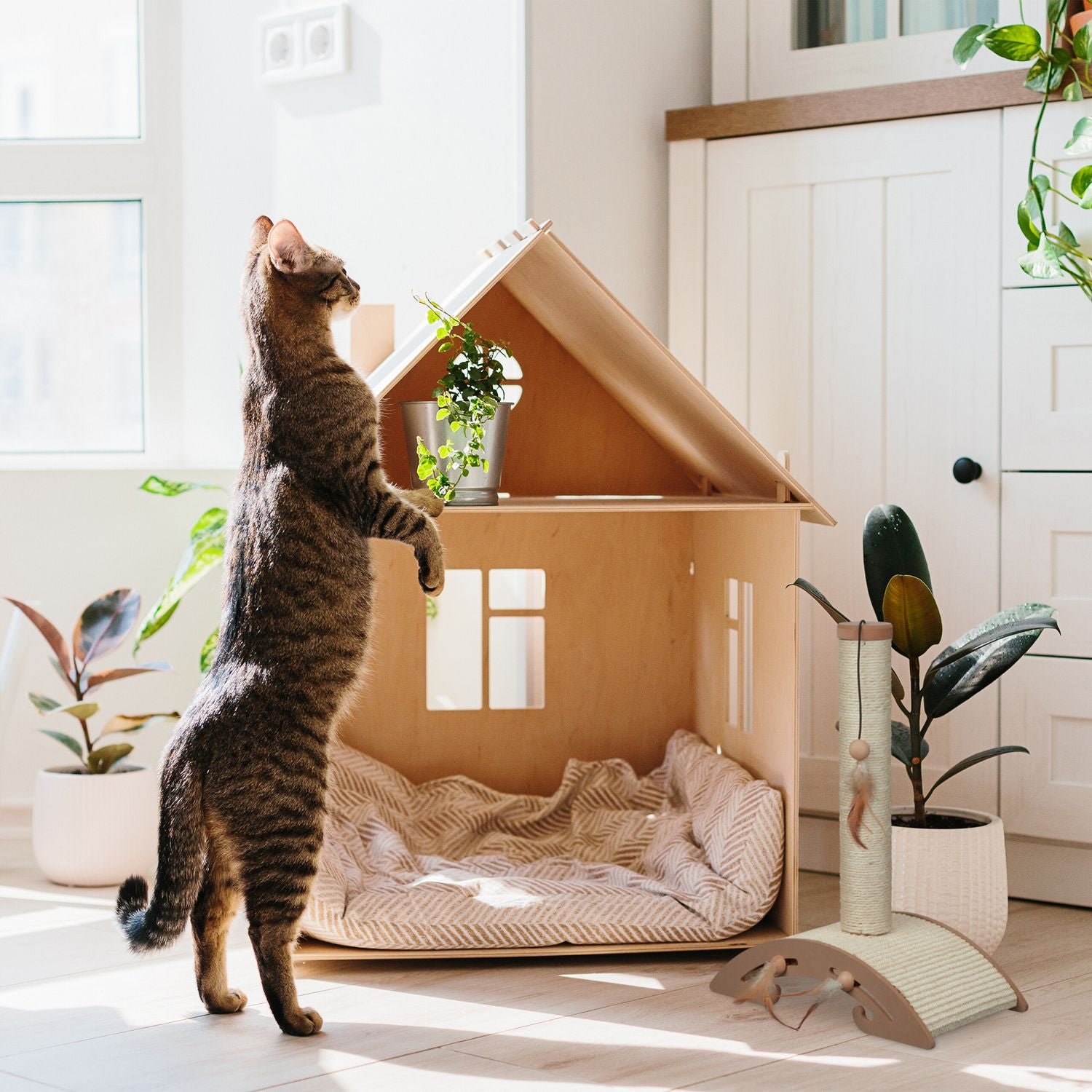 Un gato atigrado se pone de pie frente a una casita de madera para mascotas.