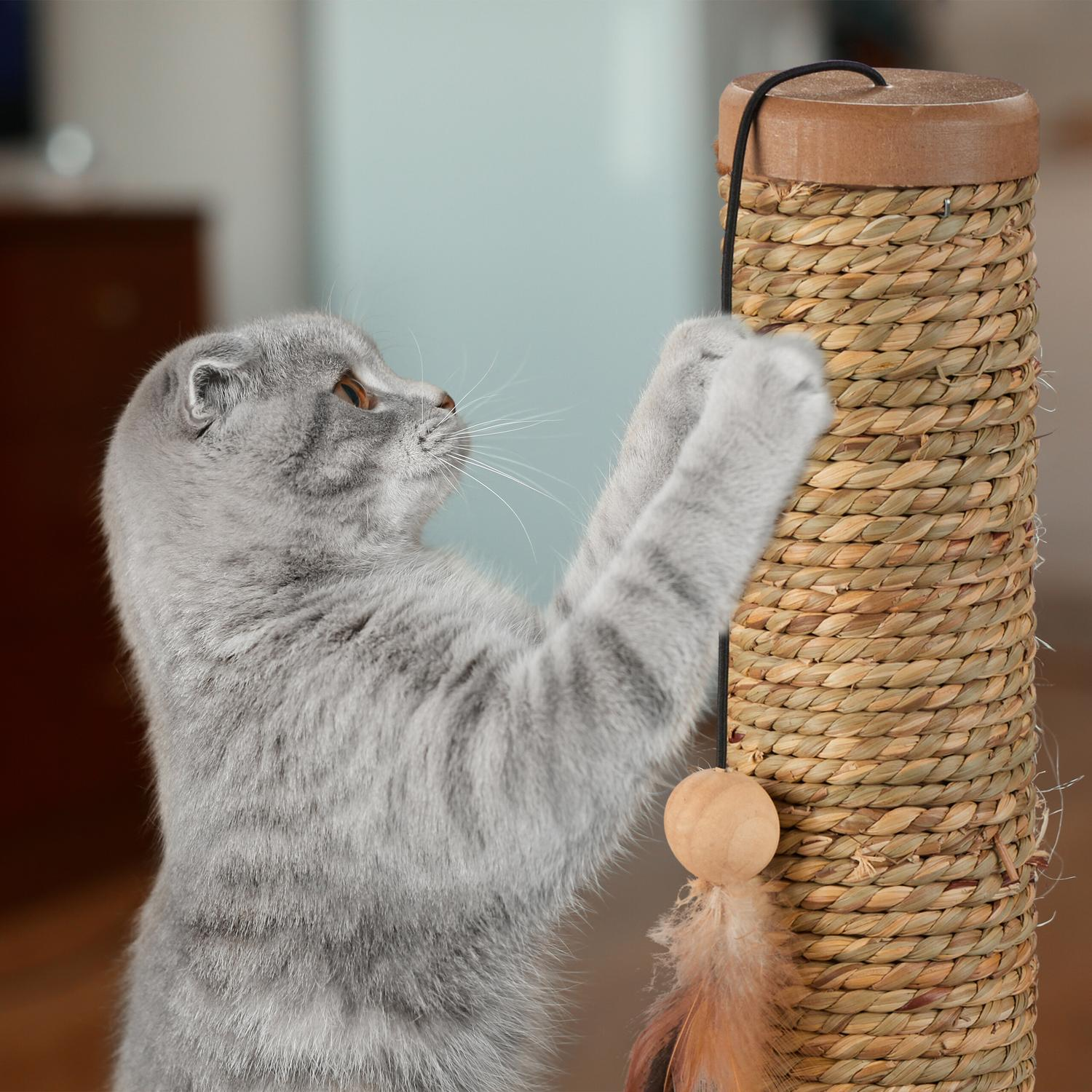 Un gato gris trepa por un rascador con juguete de plumas.
