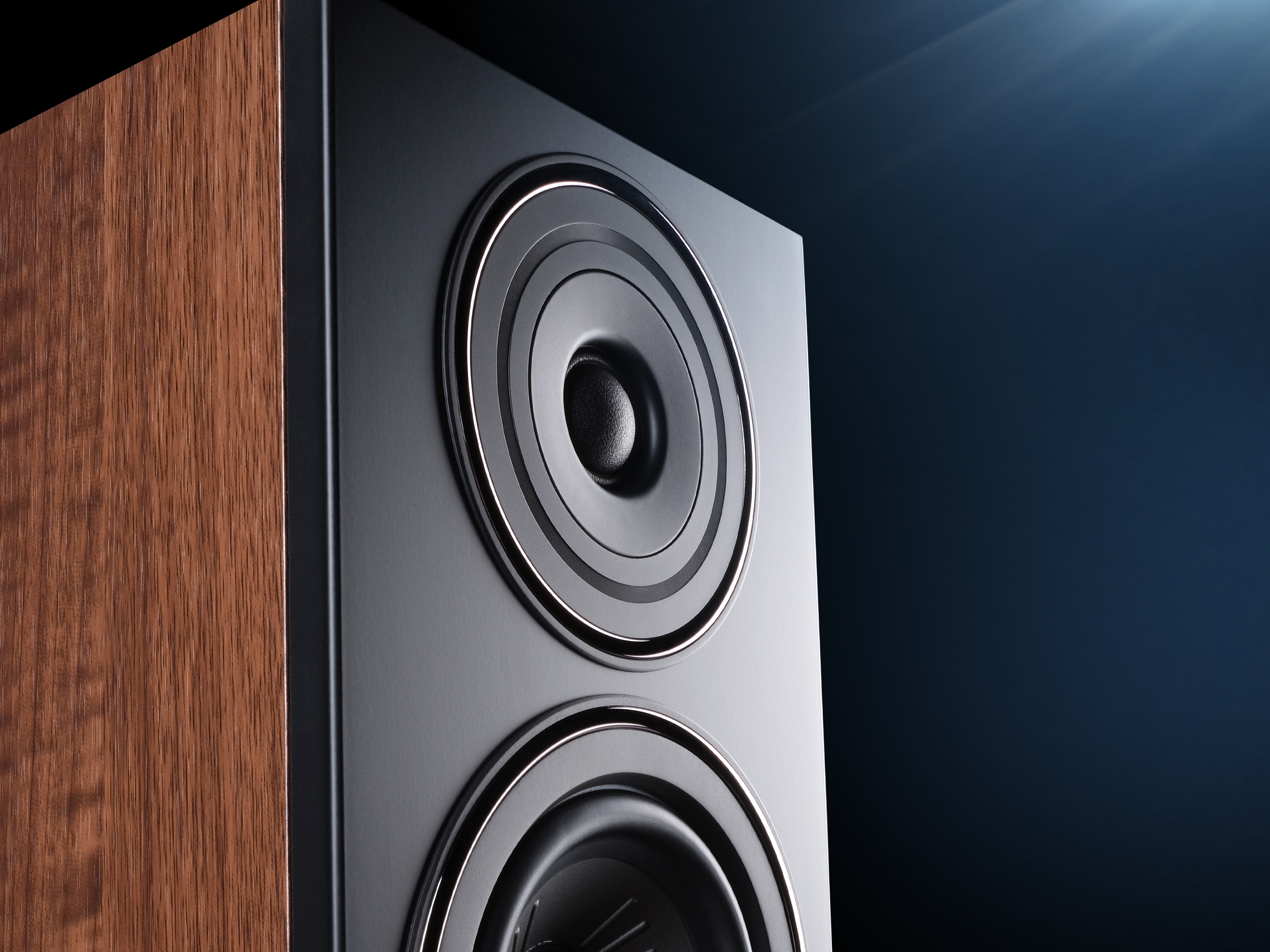 Houten speakerkast met zwarte drivers en zilveren ringen.