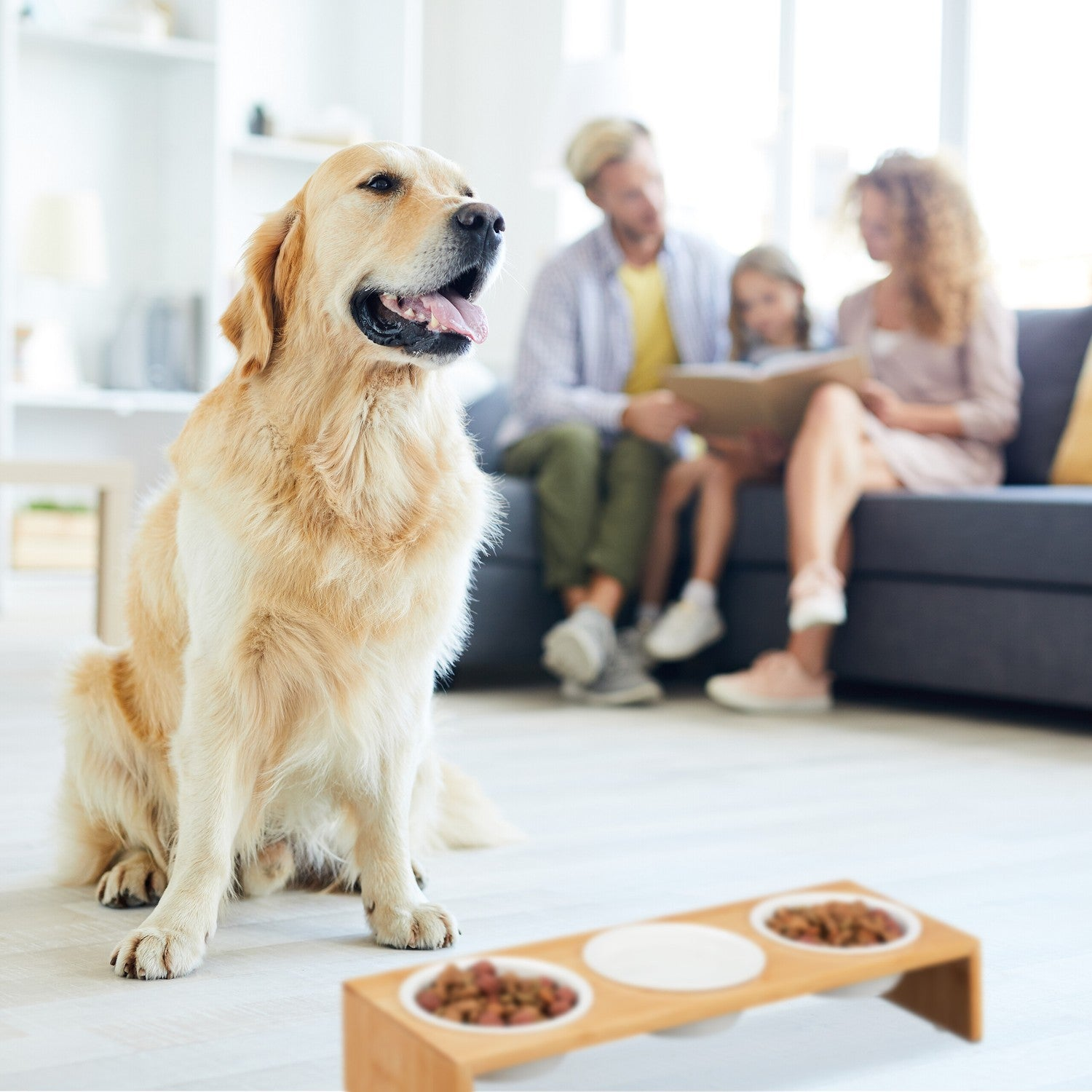 Un Golden Retriever sentado ante un cuenco de comida, una familia lee al fondo.