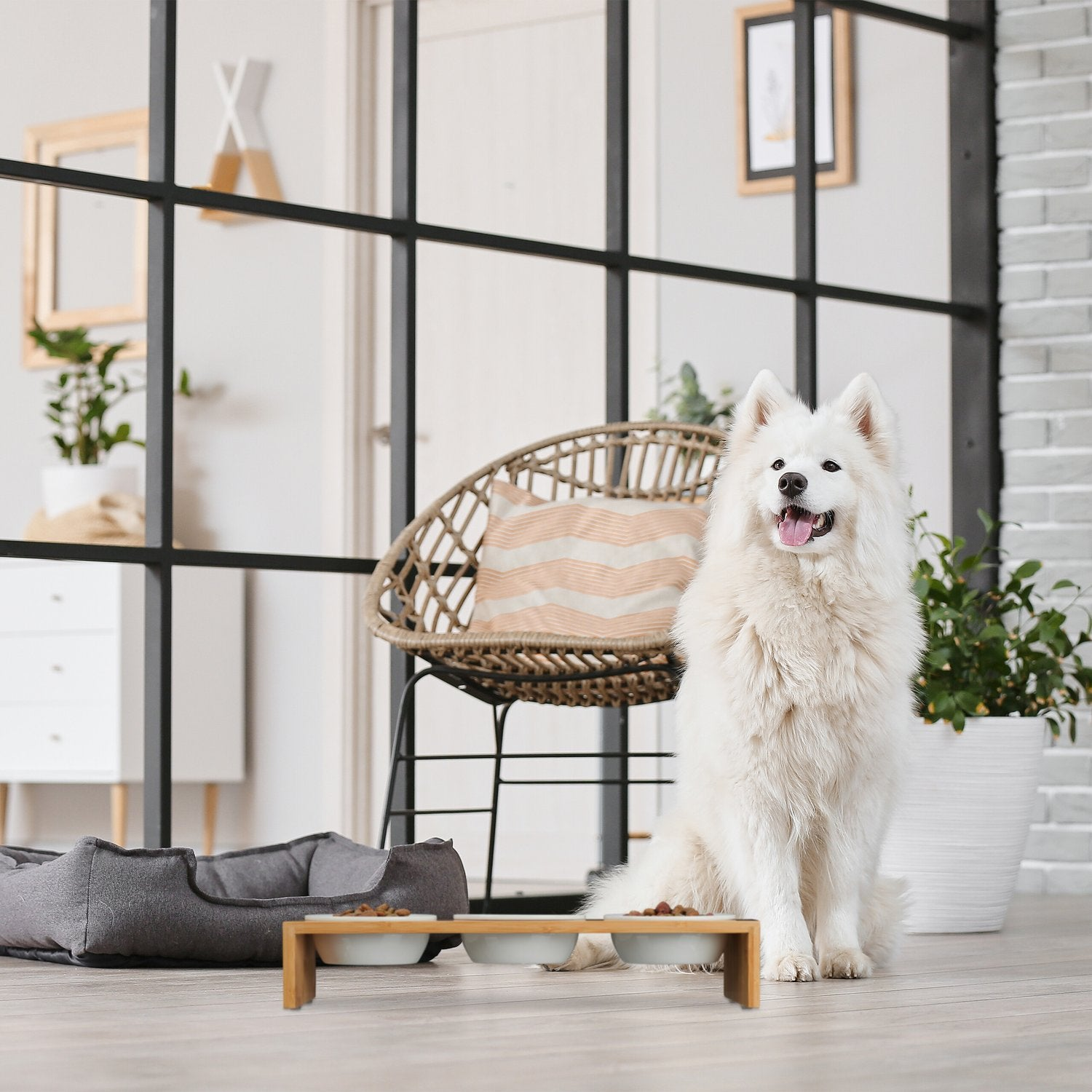 Un perro blanco se sienta junto a una cama para perros y cuencos de comida.