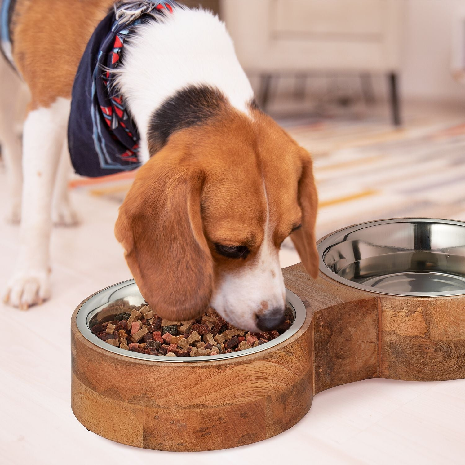 Un beagle con pañuelo come de un comedero doble de madera.