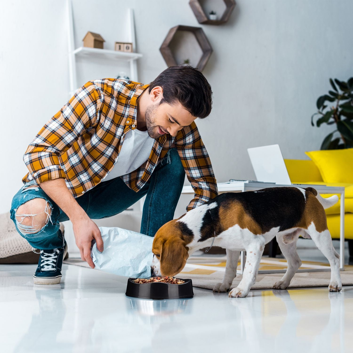 Hombre con camisa a cuadros echando comida para perro en un cuenco a un beagle.