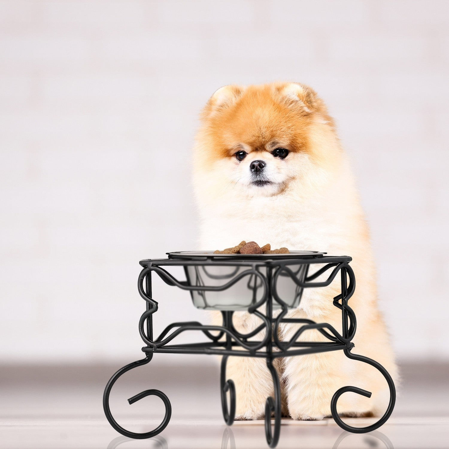 Un Pomerania se sienta frente a un cuenco de comida en un soporte decorativo.