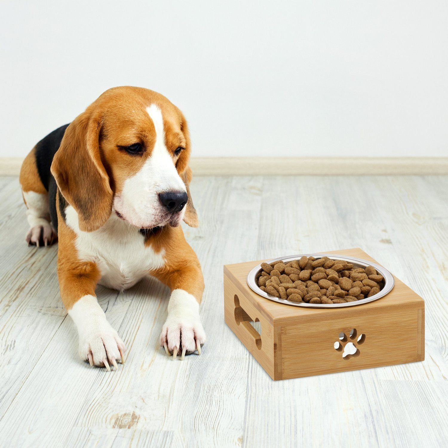 Un beagle yace en un suelo de madera junto a un cuenco de comida.