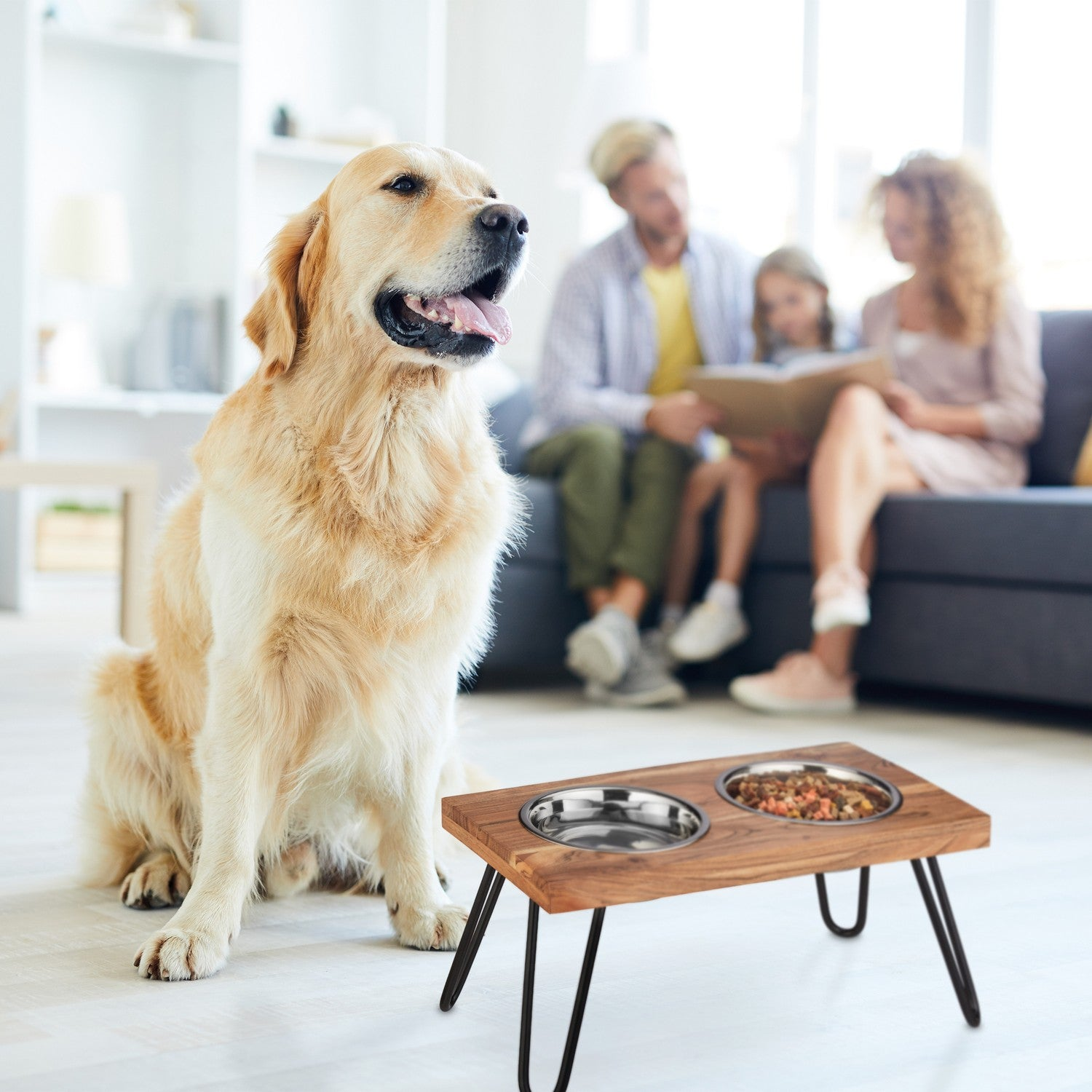 Un Golden Retriever sentado junto a un comedero doble. Una familia lee al fondo.