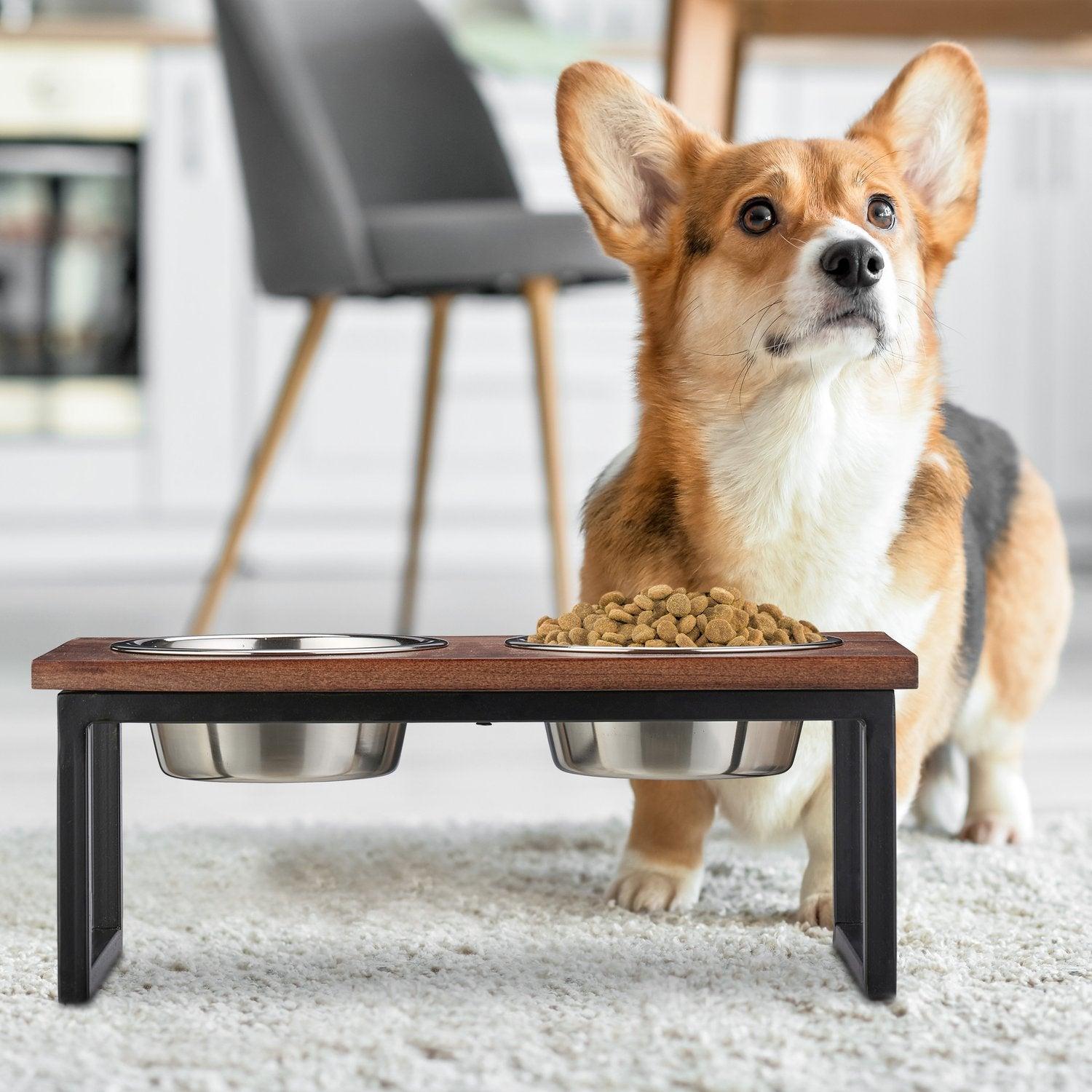 Un corgi junto a un comedero doble con comida y agua.