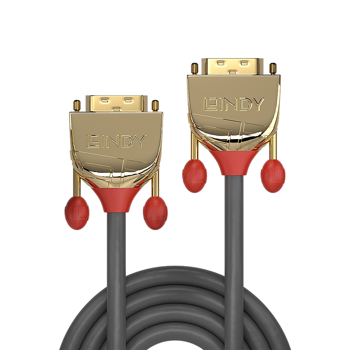 Due connettori cavo Lindy dorati con accenti rossi e cavi grigi.