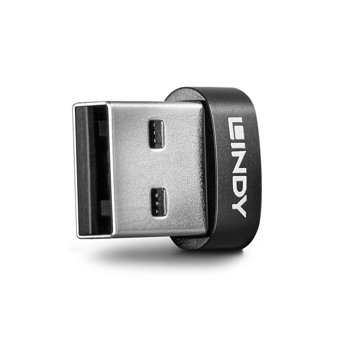 Un adattatore USB nero con connettore argentato e logo LINDY.