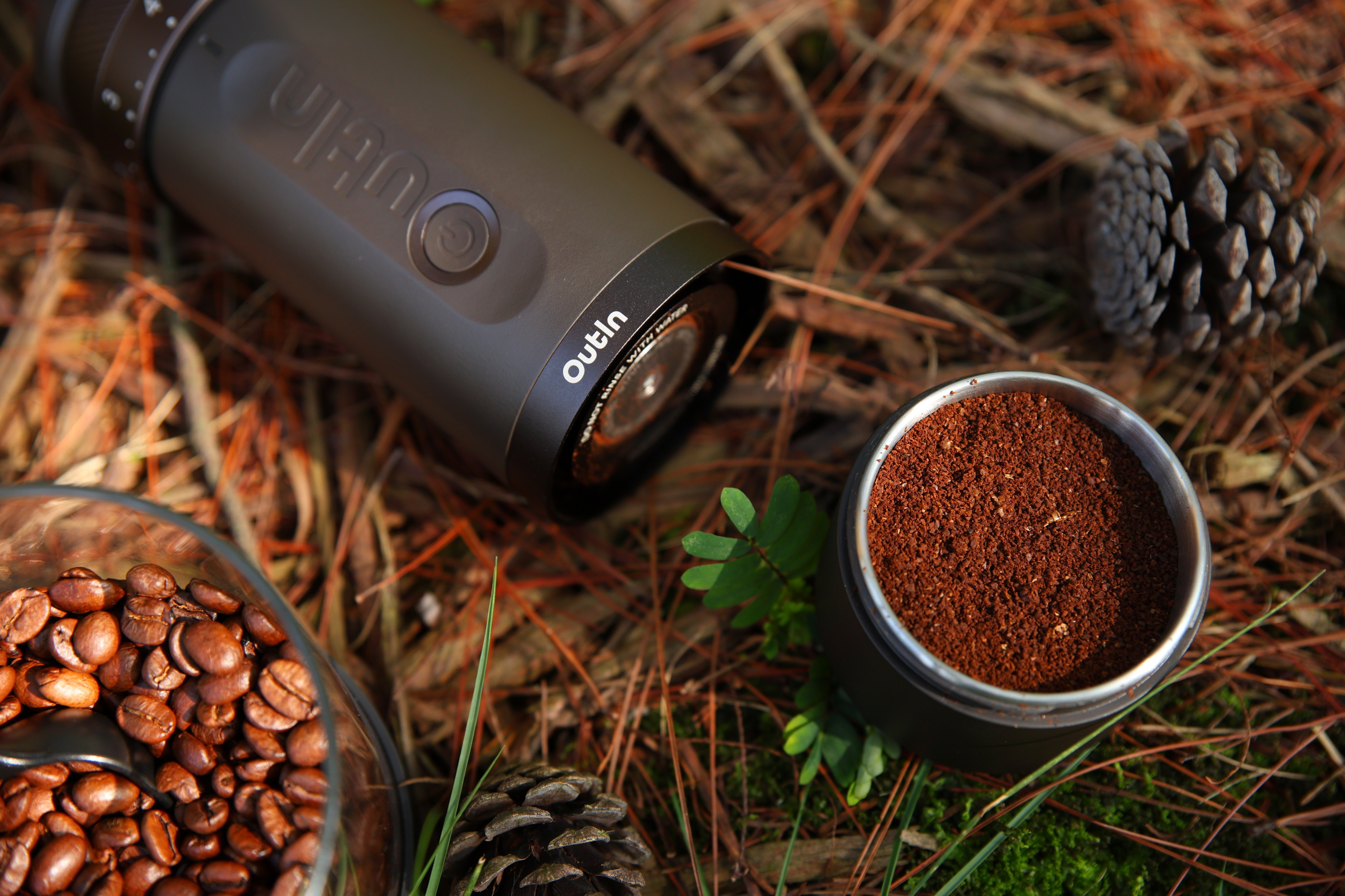 Ziarna kawy, kawa mielona, młynek i szyszki na leśnej ściółce.