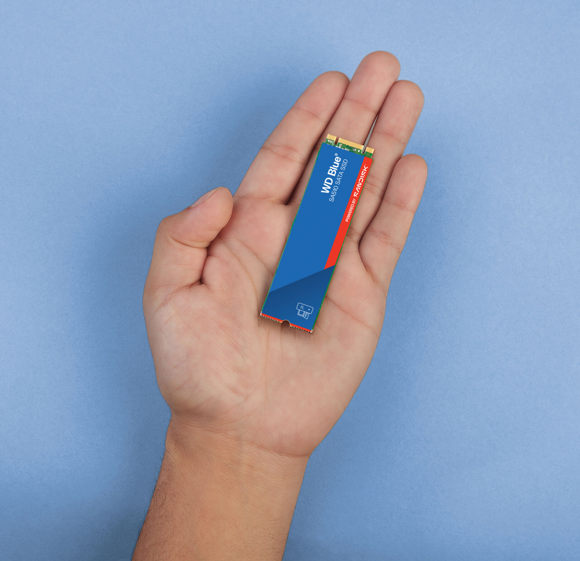 Dłoń trzyma niebieski dysk SSD z czerwonym i zielonym wykończeniem.