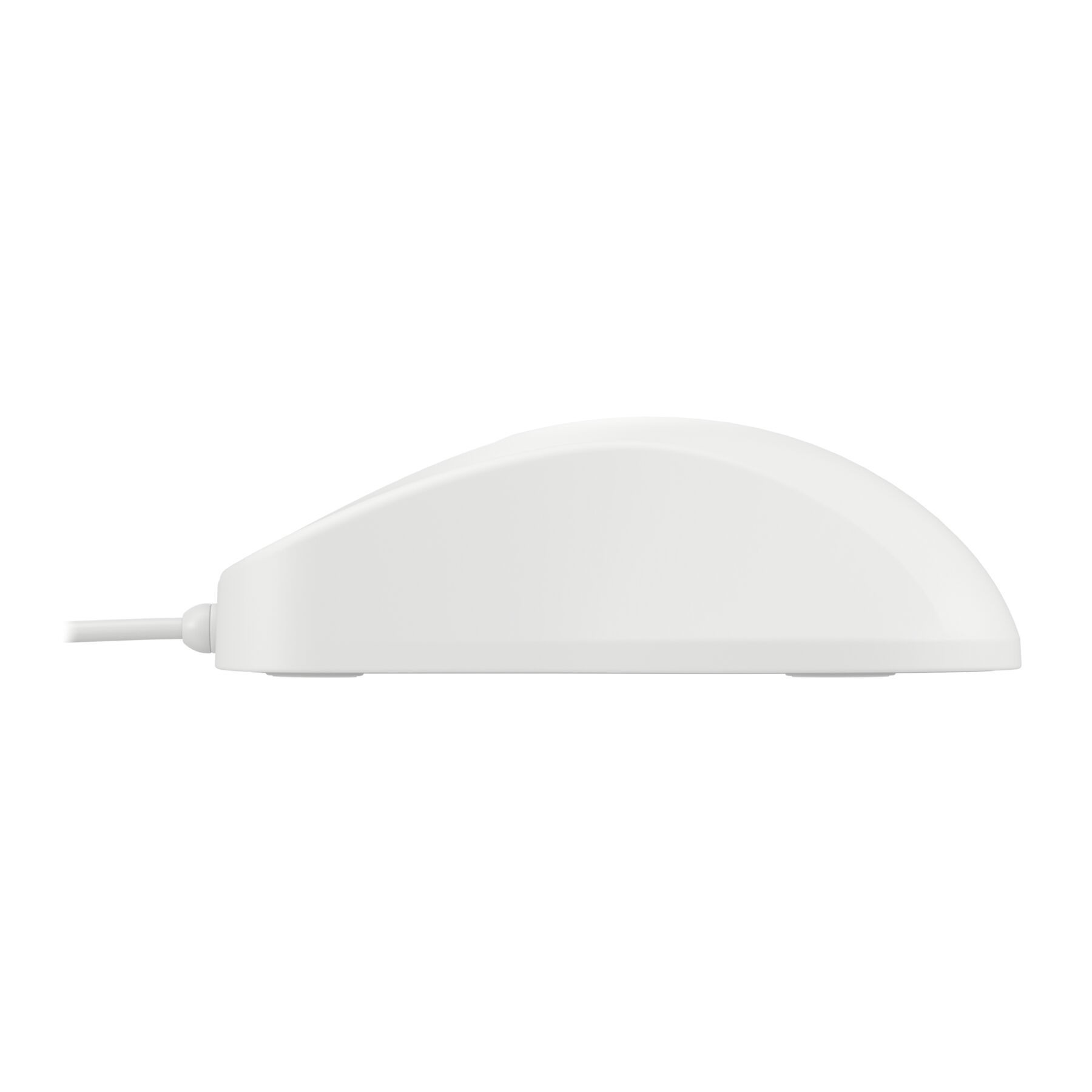 Eine weiße, kabellose Computermaus mit einem abgerundeten Gehäuse.
