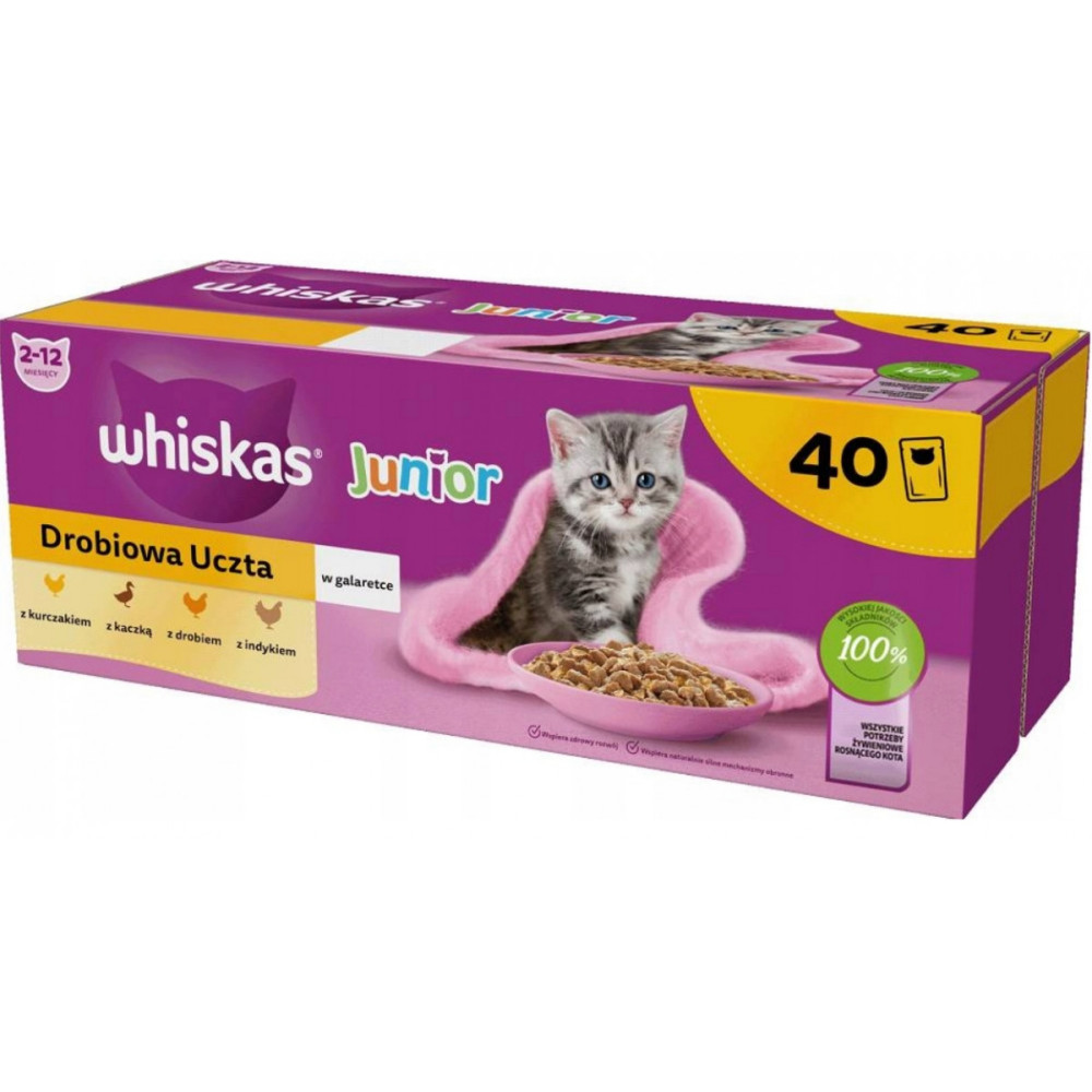 Kocię siedzi obok miski z karmą na opakowaniu Whiskas Junior.