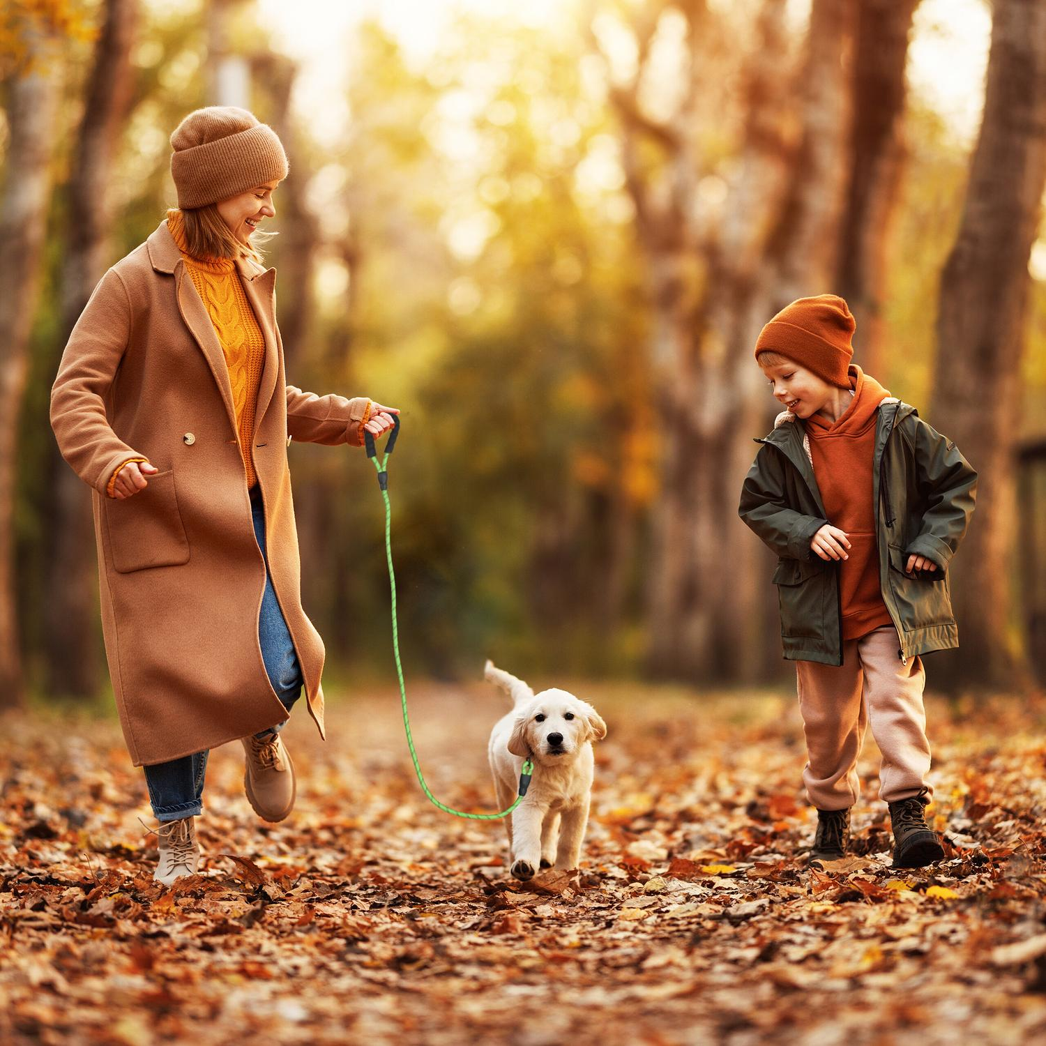 Mujer y niño pasean cachorro en parque otoñal cubierto de hojas.