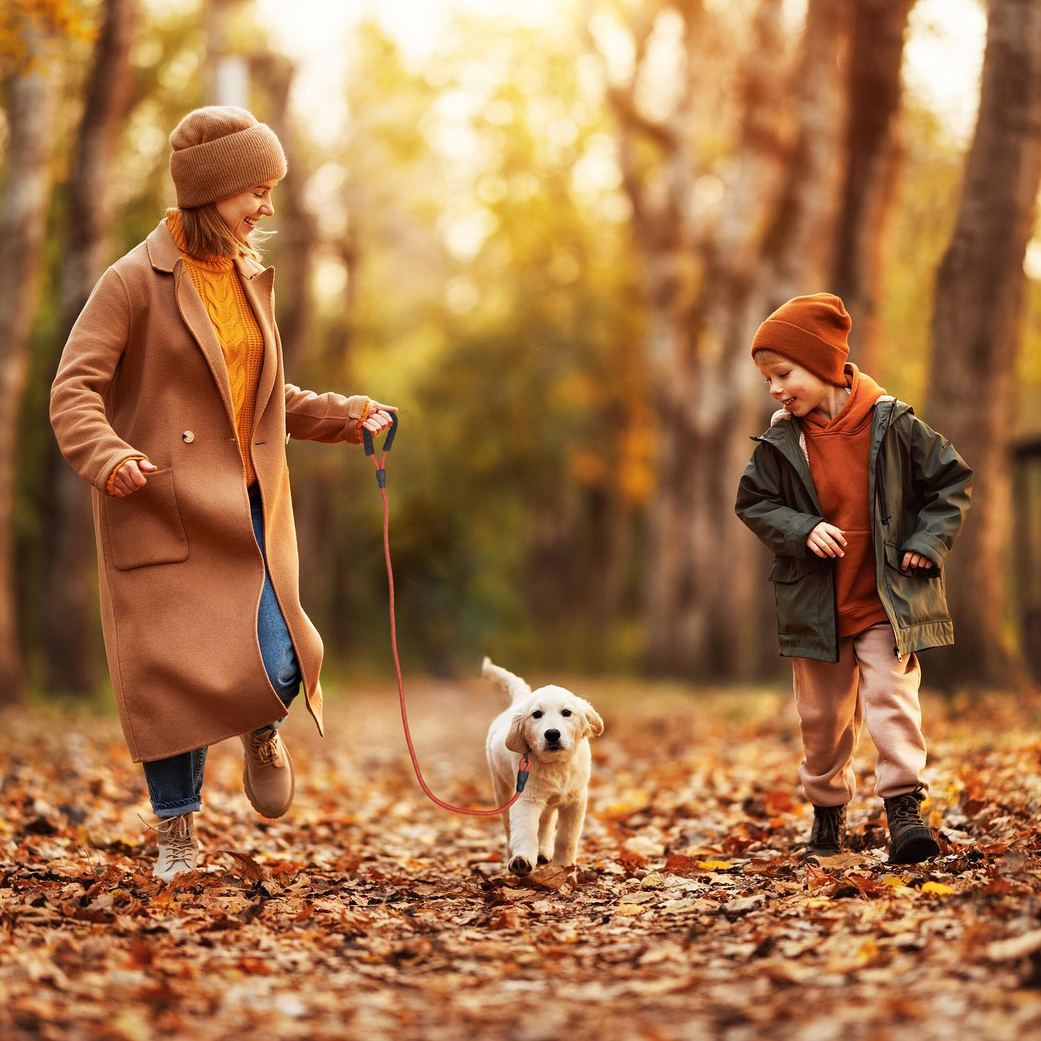 Mujer y niño paseando un cachorro con correa en un bosque otoñal.