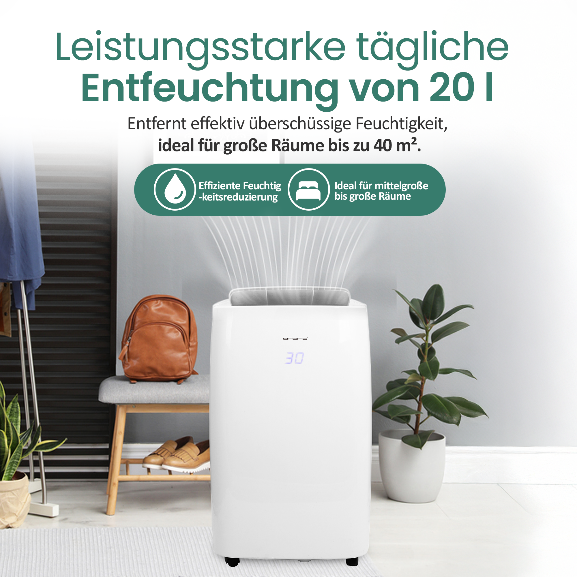 Ein weißer Luftentfeuchter mit der Anzeige "30" steht auf einem Teppich neben einer Topfpflanze.