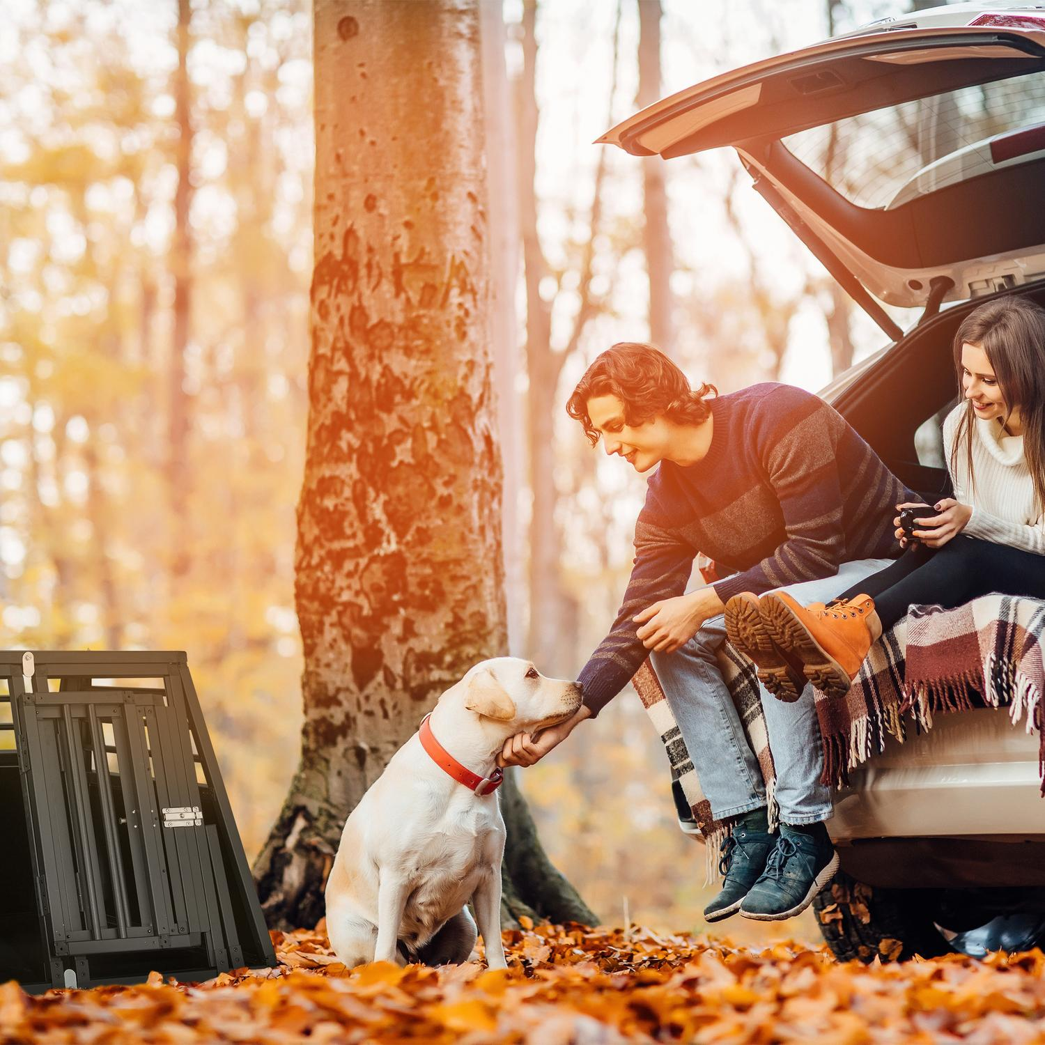 Una pareja se sienta en la parte trasera de un coche en el bosque con un perro.