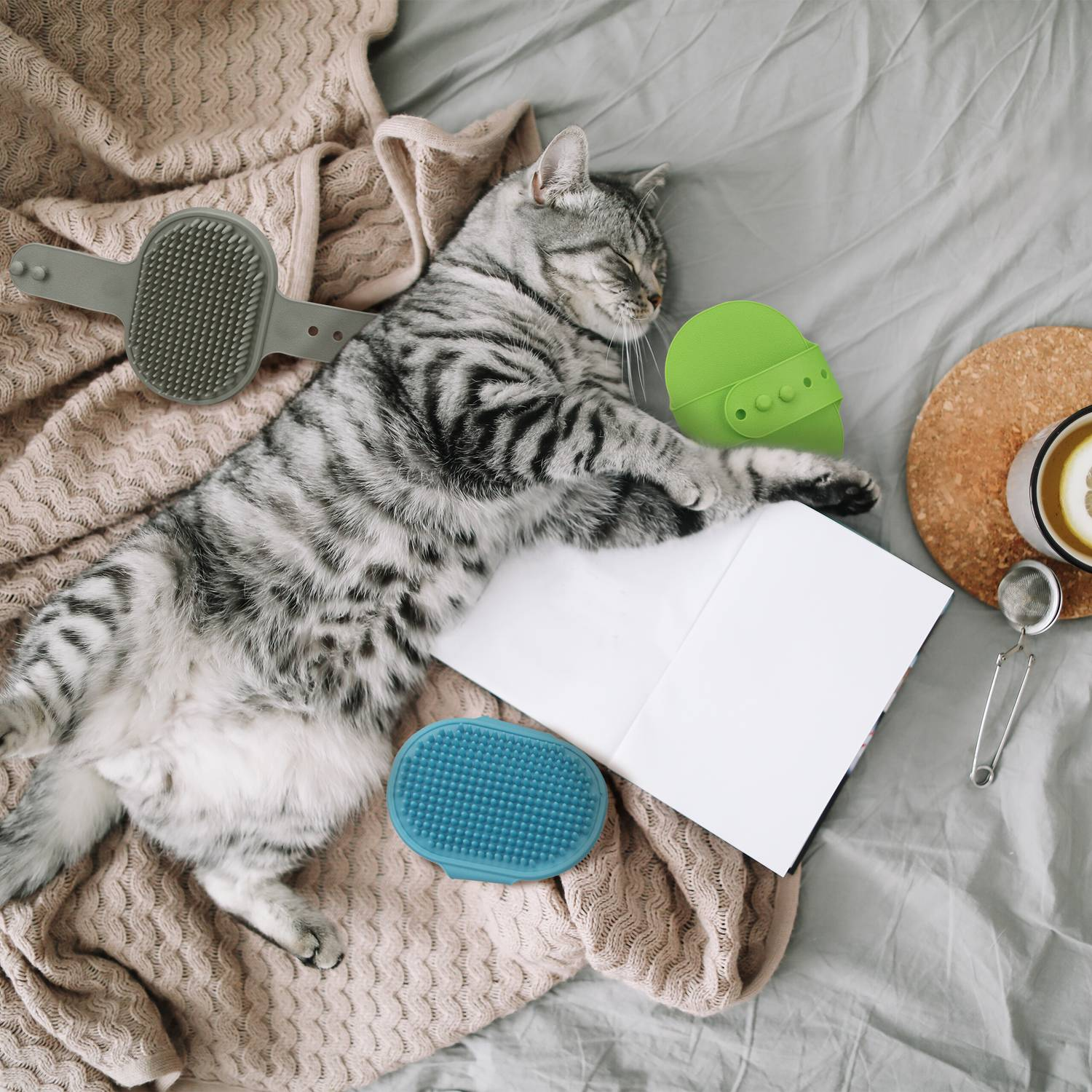Un gato atigrado duerme sobre una manta junto a cepillos y té.