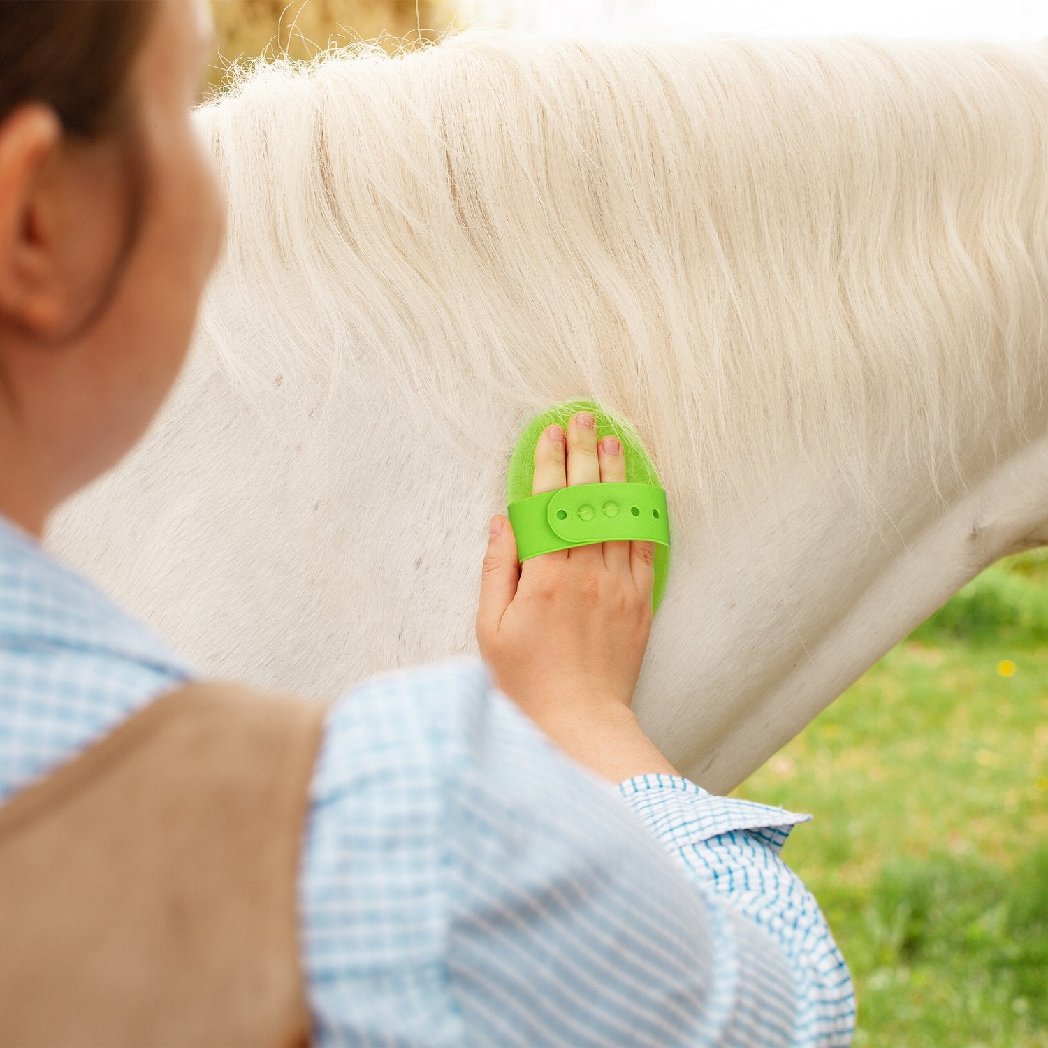 Una persona cepilla un caballo blanco con un cepillo verde.