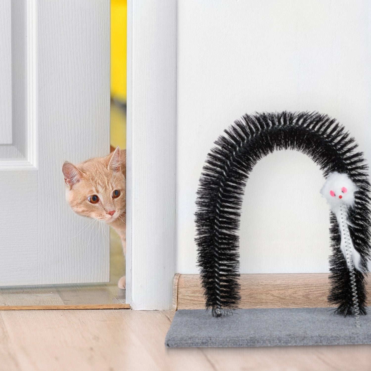 Un gato naranja se asoma por detrás de una puerta, junto a un juguete curvo para gatos.