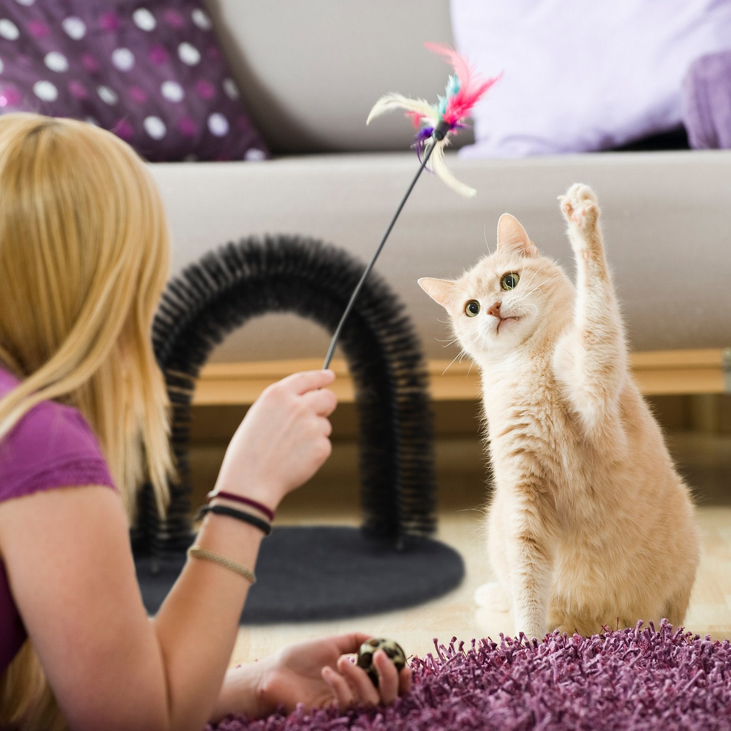 Una niña juega con un gato con un juguete de plumas en una sala.