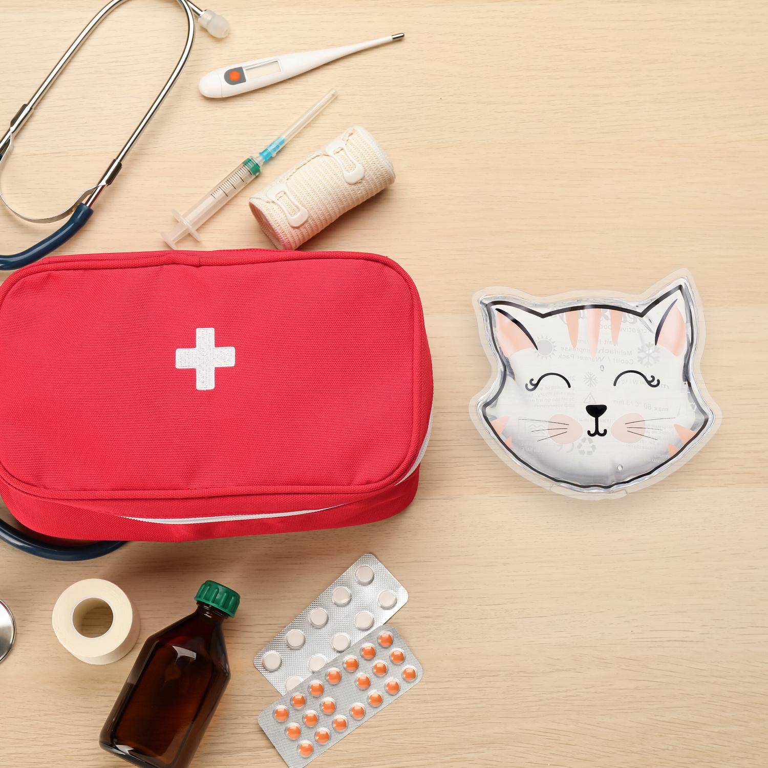 Un botiquín con estetoscopio, termómetro, jeringa y bolsa de agua con forma de gato.