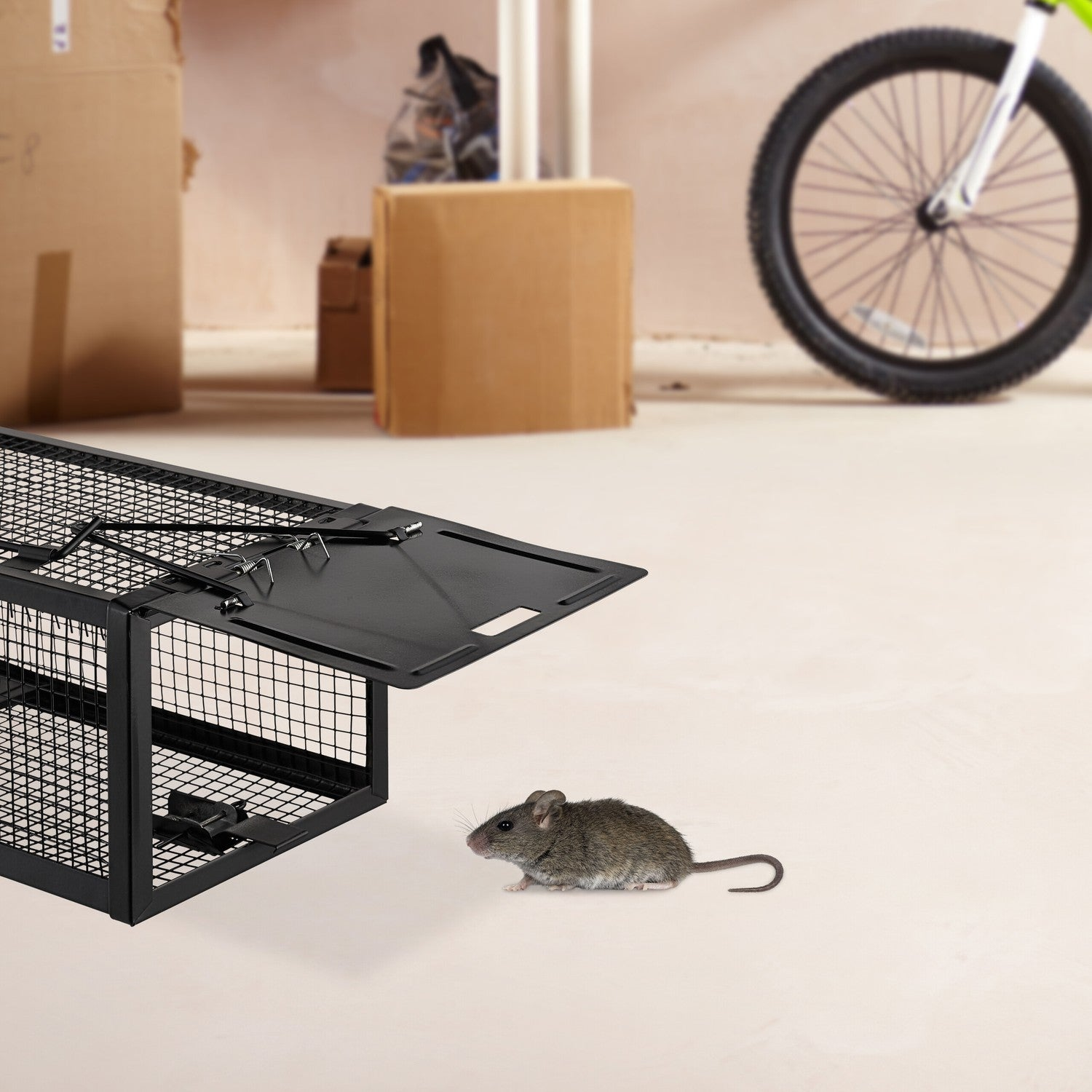 Un ratón se acerca a una trampa de alambre negra abierta en una habitación con cajas y una bicicleta.