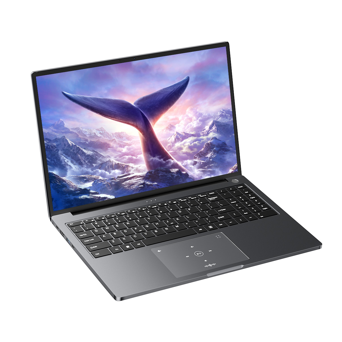 Un laptop con uno sfondo a coda di balena su montagne innevate.