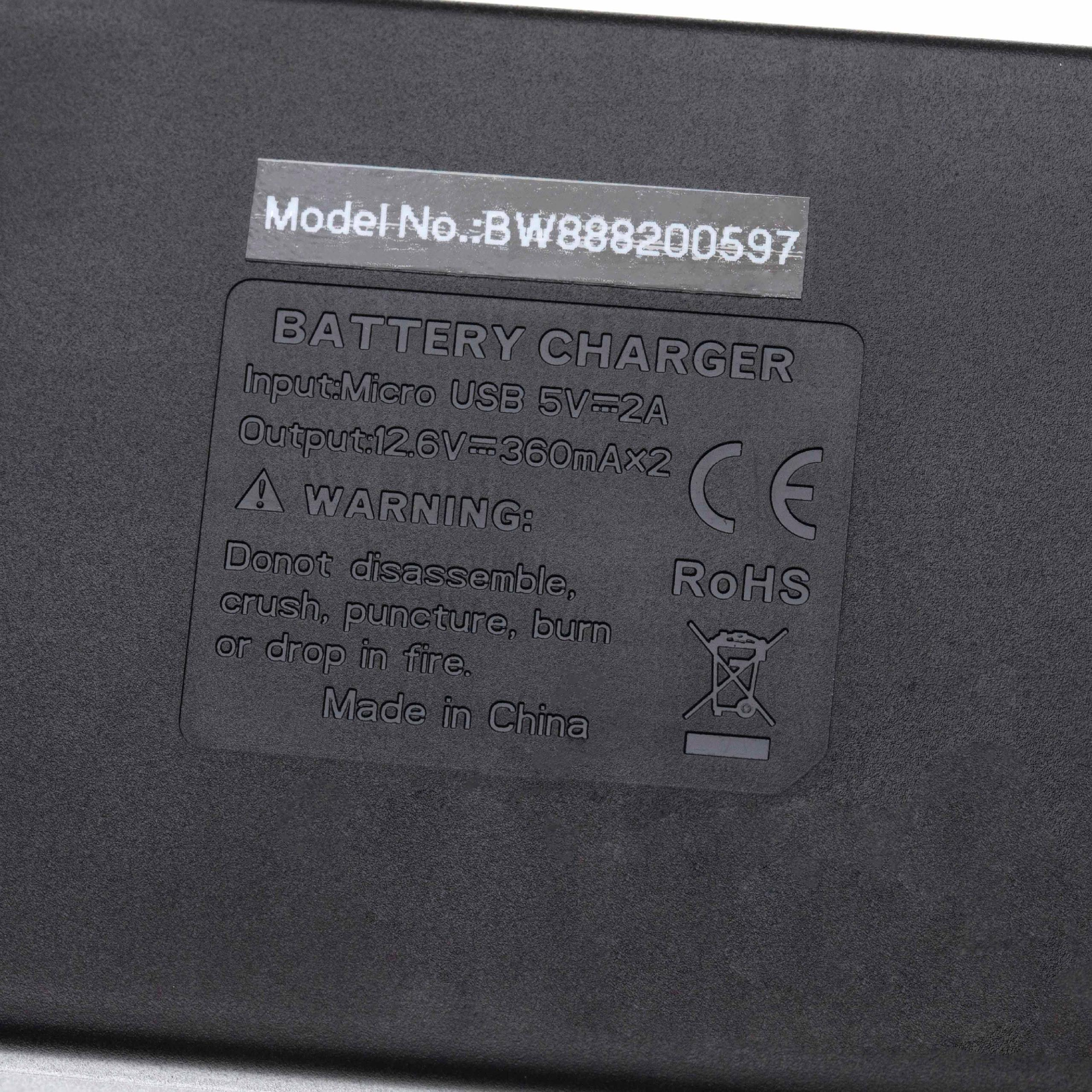 Batterieladegerät-Etikett mit Modellnummer und Warnhinweisen.