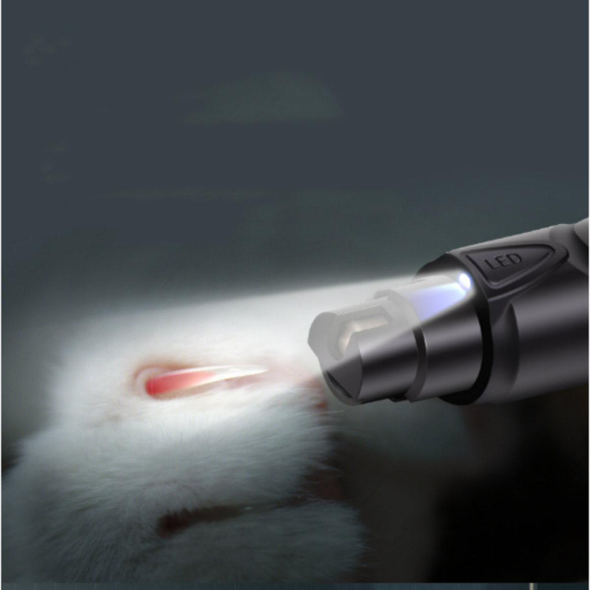 Ein Nagelknipser mit LED-Licht leuchtet auf einem weißen Tierfell, um einen Nagel zu schneiden.