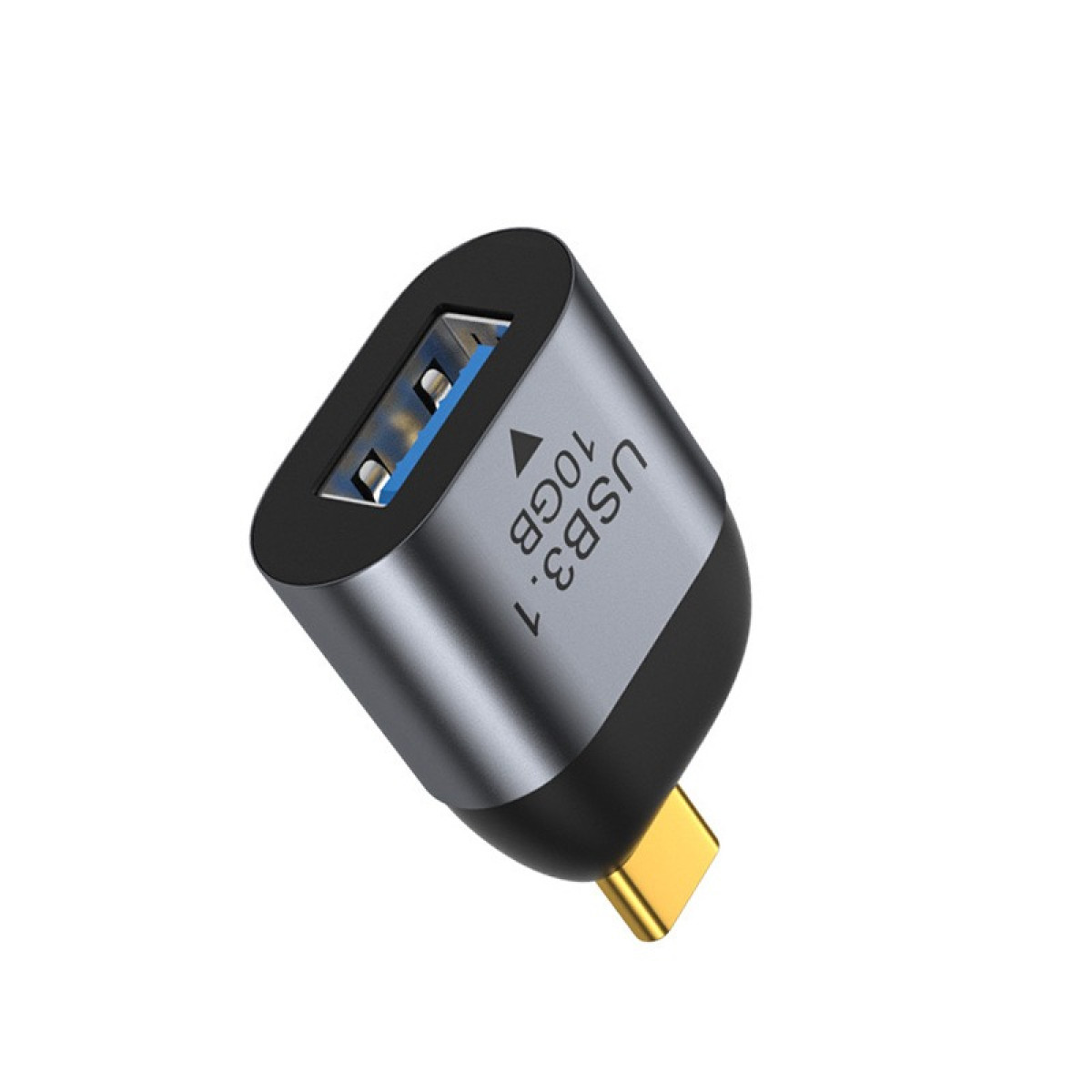 Grauer USB 3.1 10GB Adapter mit schwarzem Rand und goldenem Stecker.
