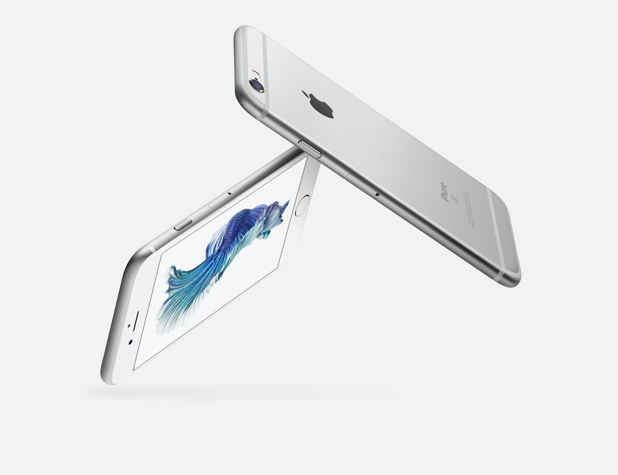 Due iPhone argentati fluttuano, uno mostra un pesce blu.