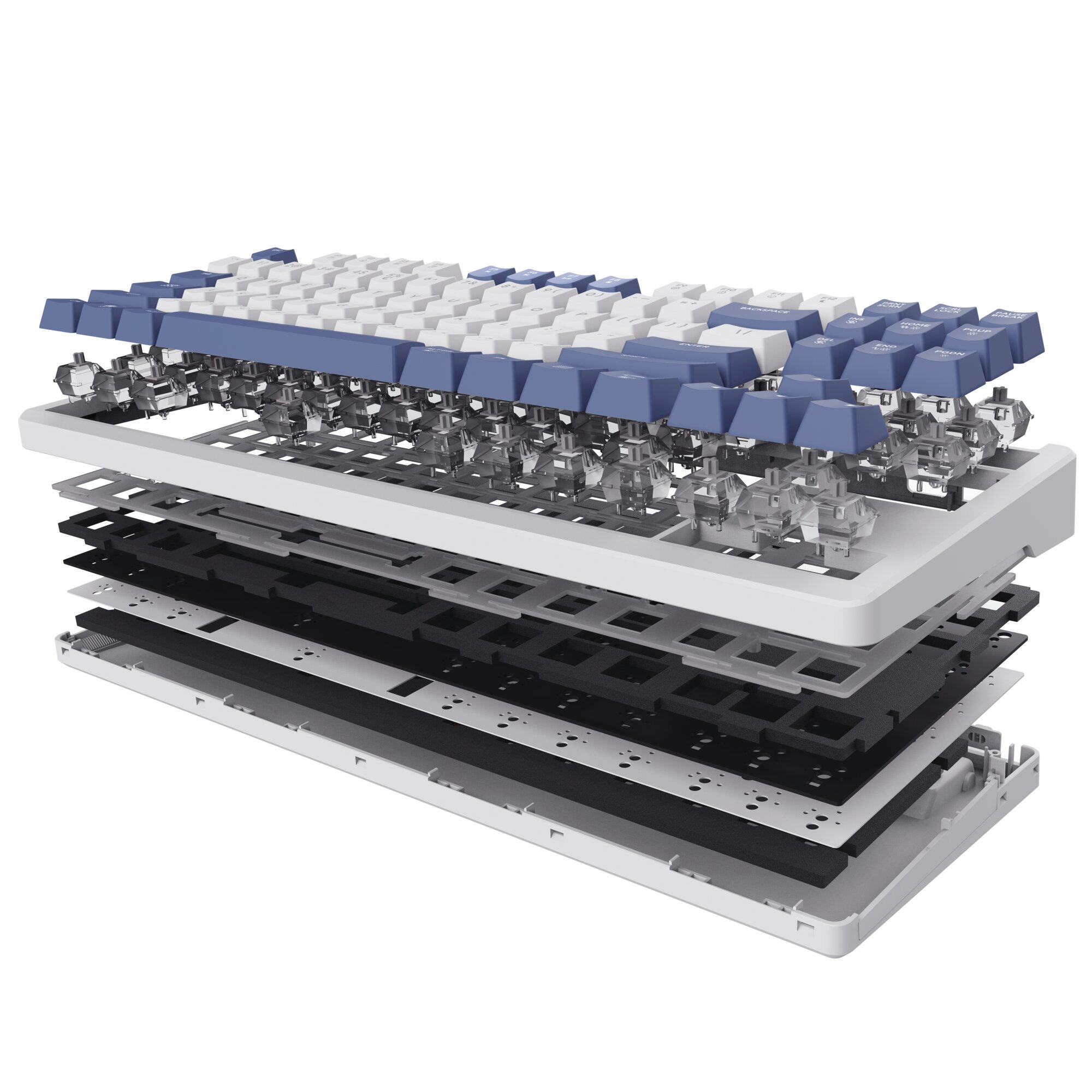 Explodierte Ansicht einer Tastatur mit blauen und weißen Tasten.